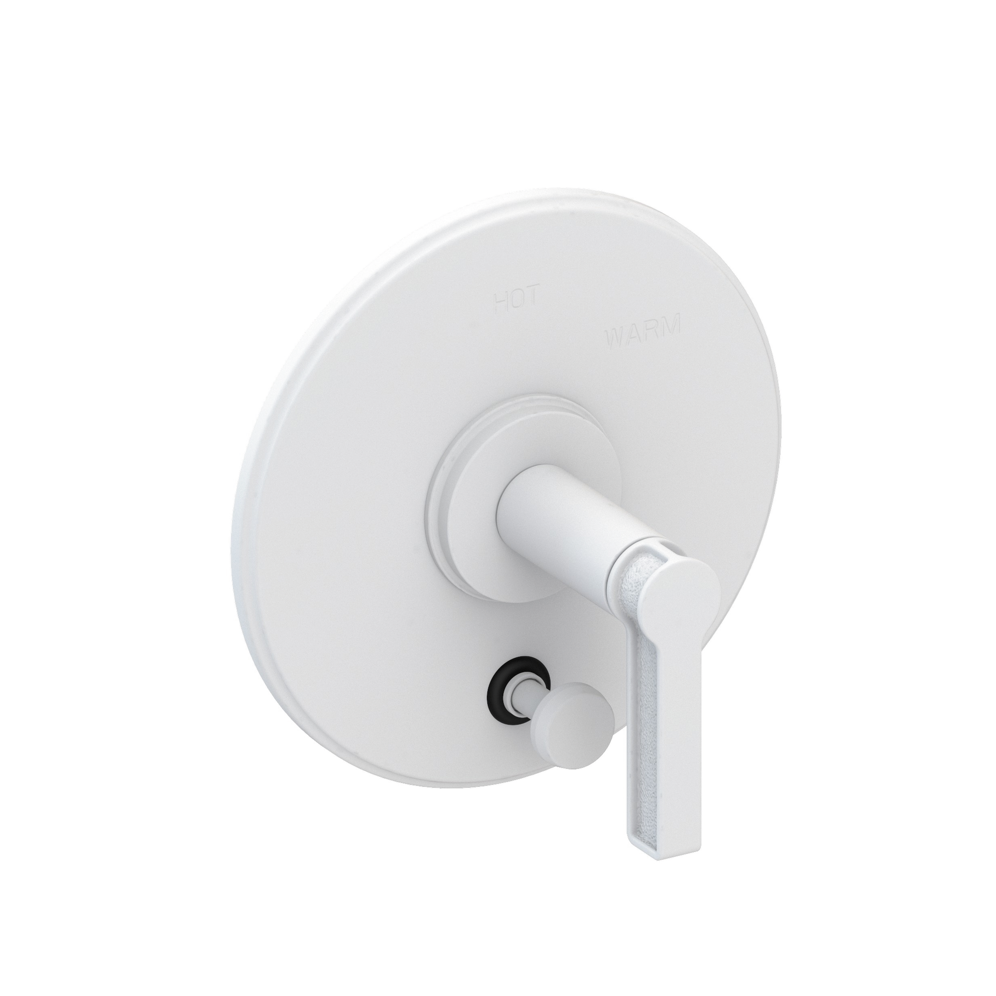 Newport Brass Griffey Balanced Pressure Tub & Shower Diverter Plate with Handle