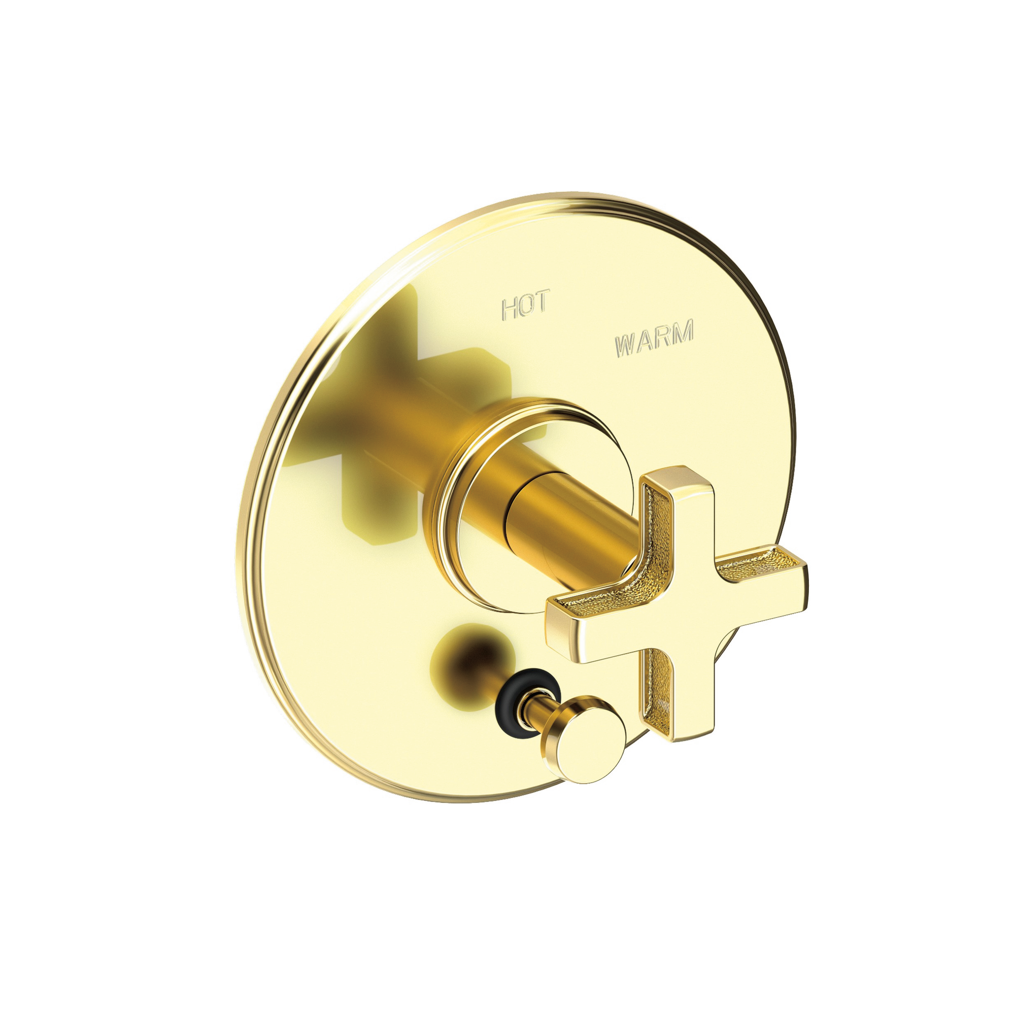 Newport Brass Griffey Balanced Pressure Tub & Shower Diverter Plate with Handle