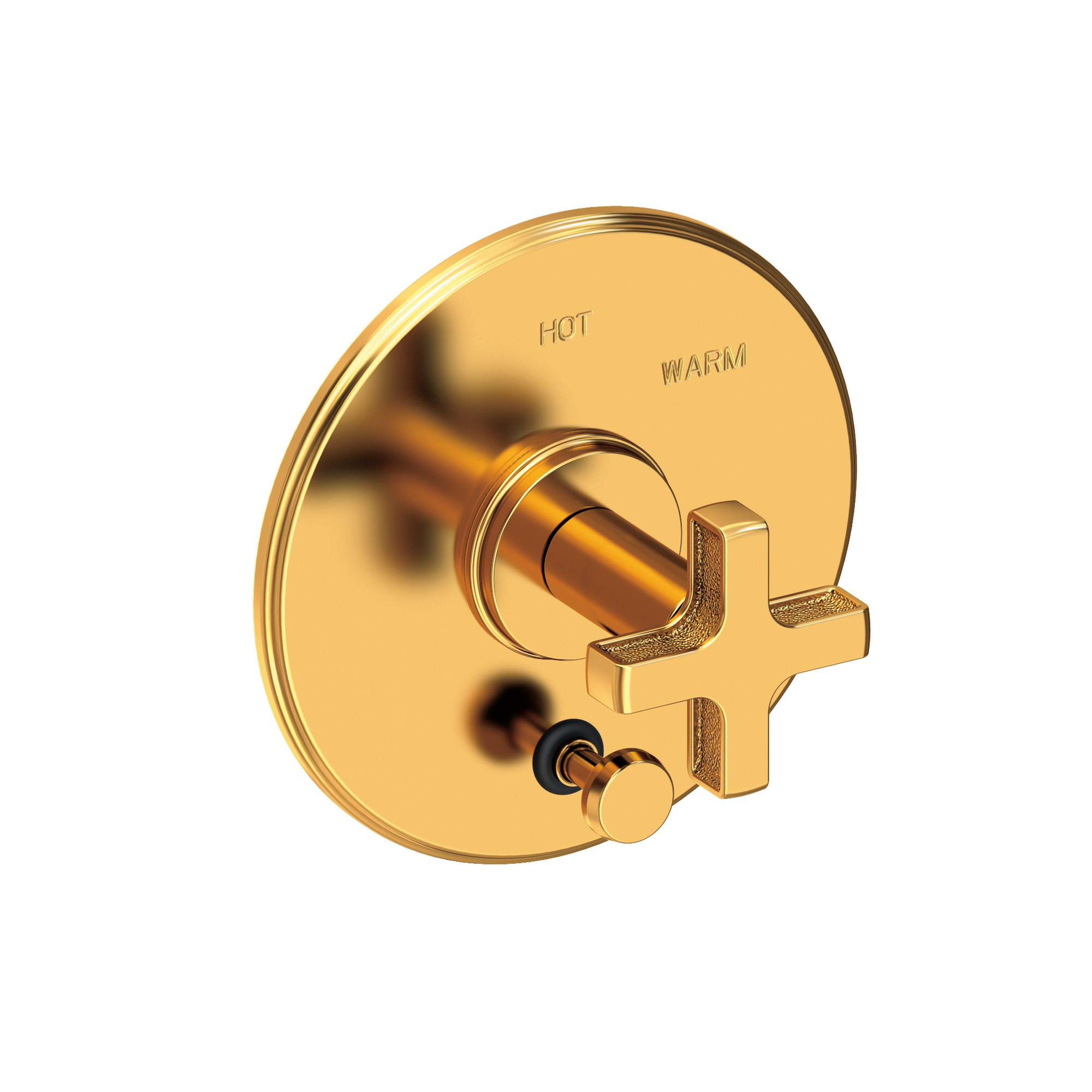 Newport Brass Griffey Balanced Pressure Tub & Shower Diverter Plate with Handle