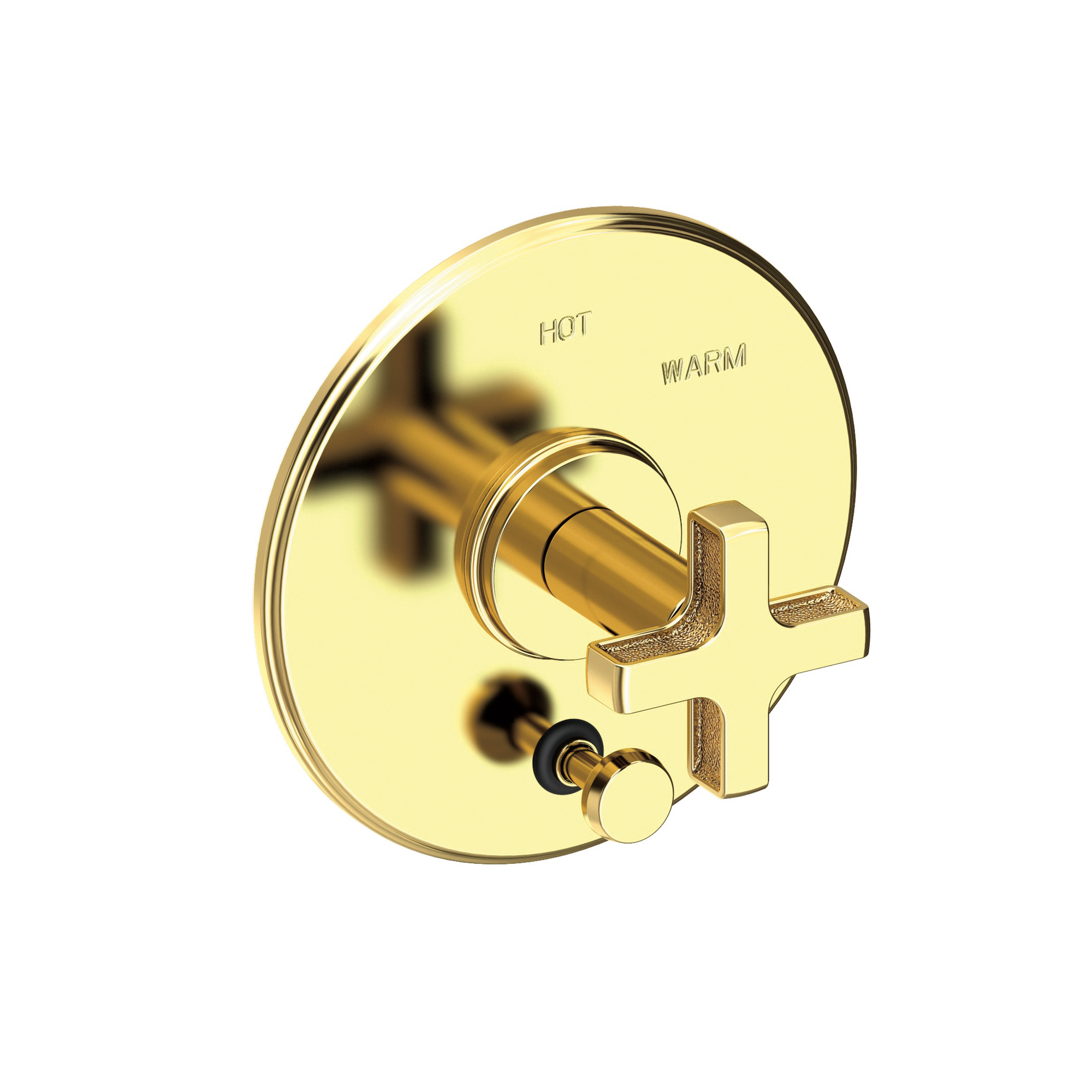 Newport Brass Griffey Balanced Pressure Tub & Shower Diverter Plate with Handle