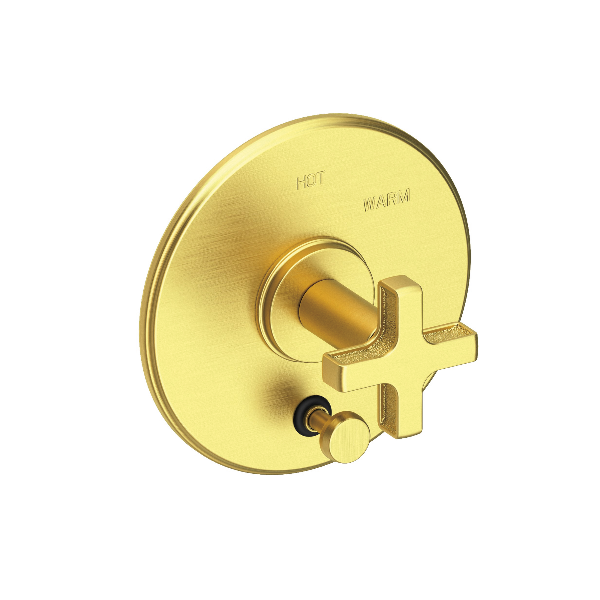Newport Brass Griffey Balanced Pressure Tub & Shower Diverter Plate with Handle