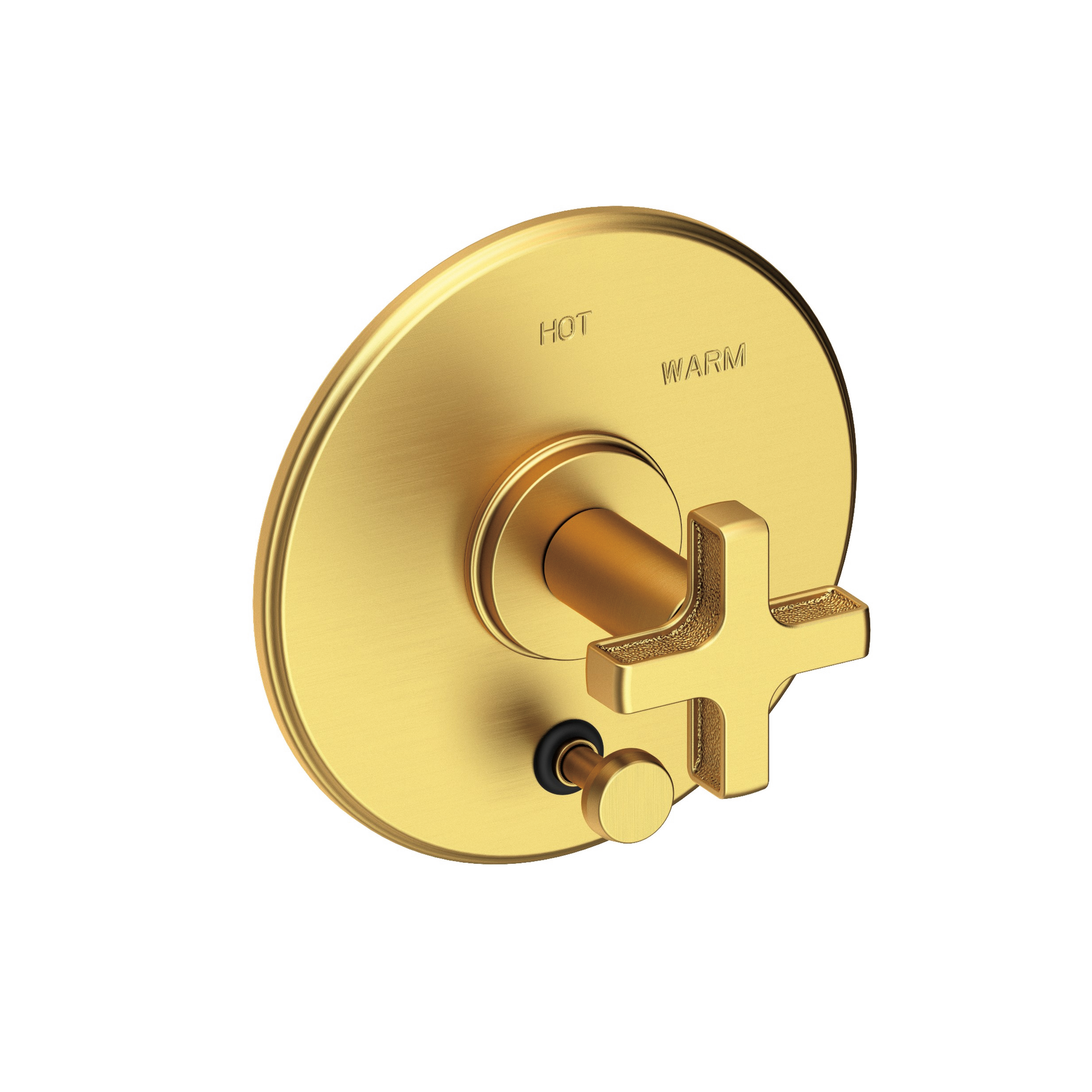 Newport Brass Griffey Balanced Pressure Tub & Shower Diverter Plate with Handle