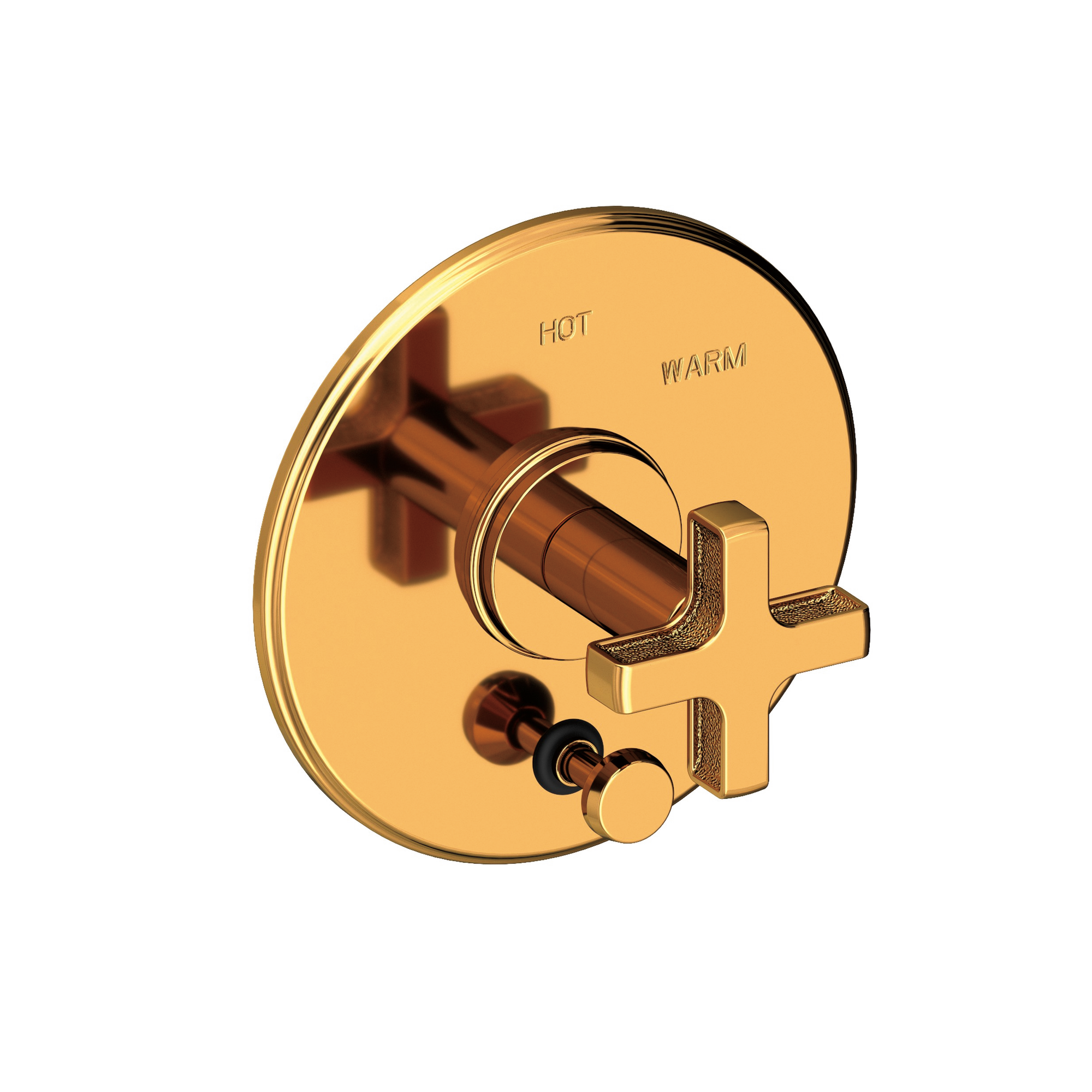 Newport Brass Griffey Balanced Pressure Tub & Shower Diverter Plate with Handle