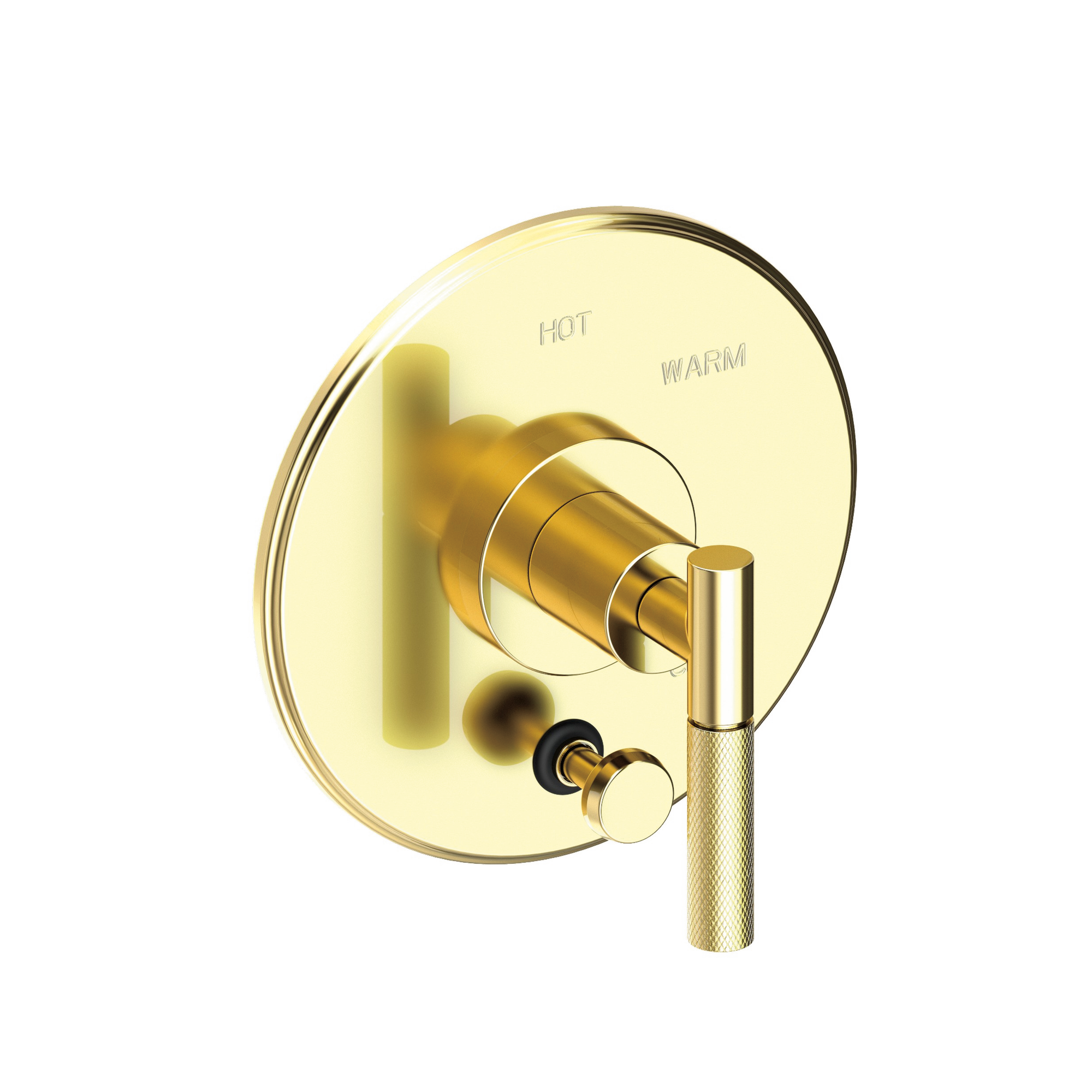 Newport Brass Muncy Balanced Pressure Tub & Shower Diverter Plate with Handle