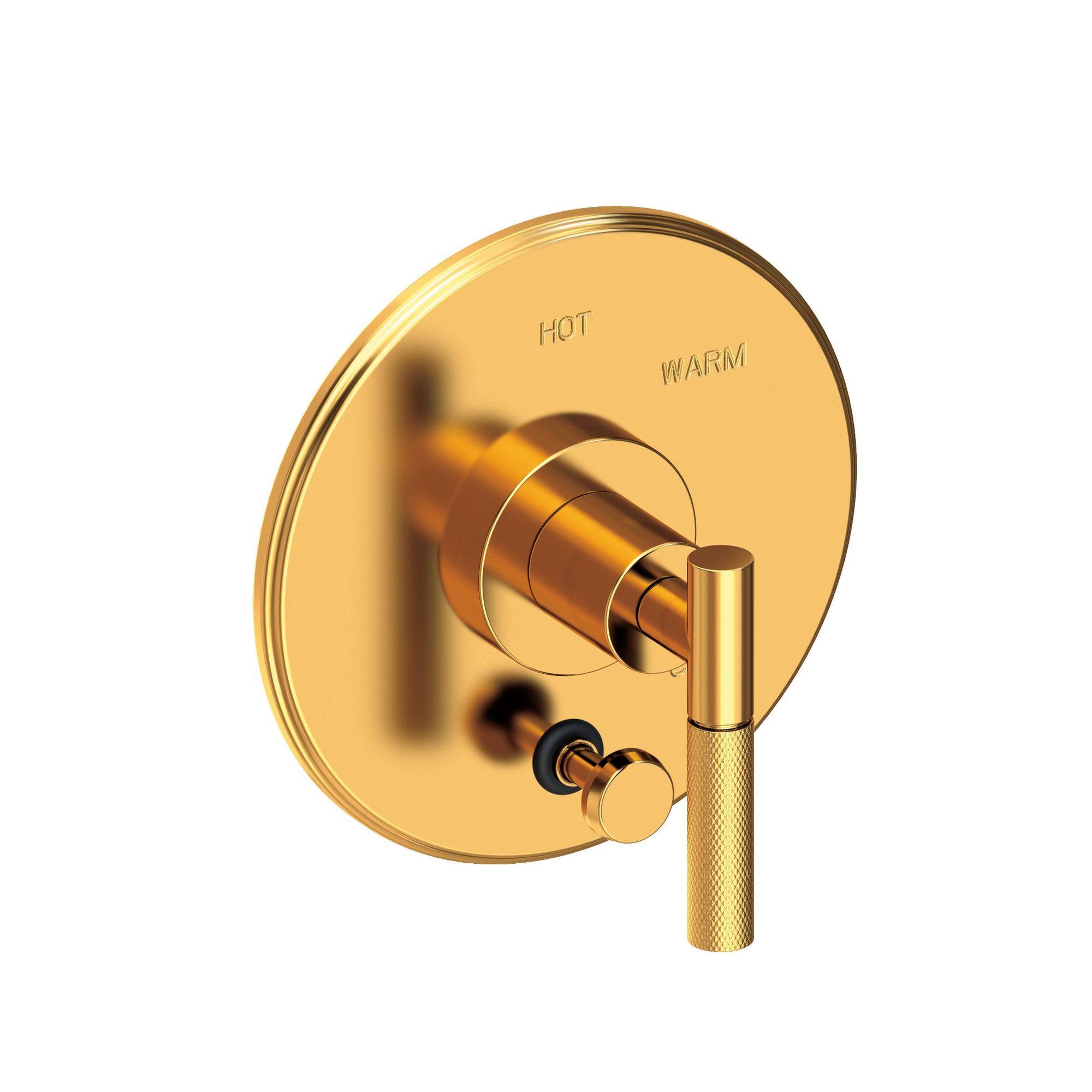Newport Brass Muncy Balanced Pressure Tub & Shower Diverter Plate with Handle