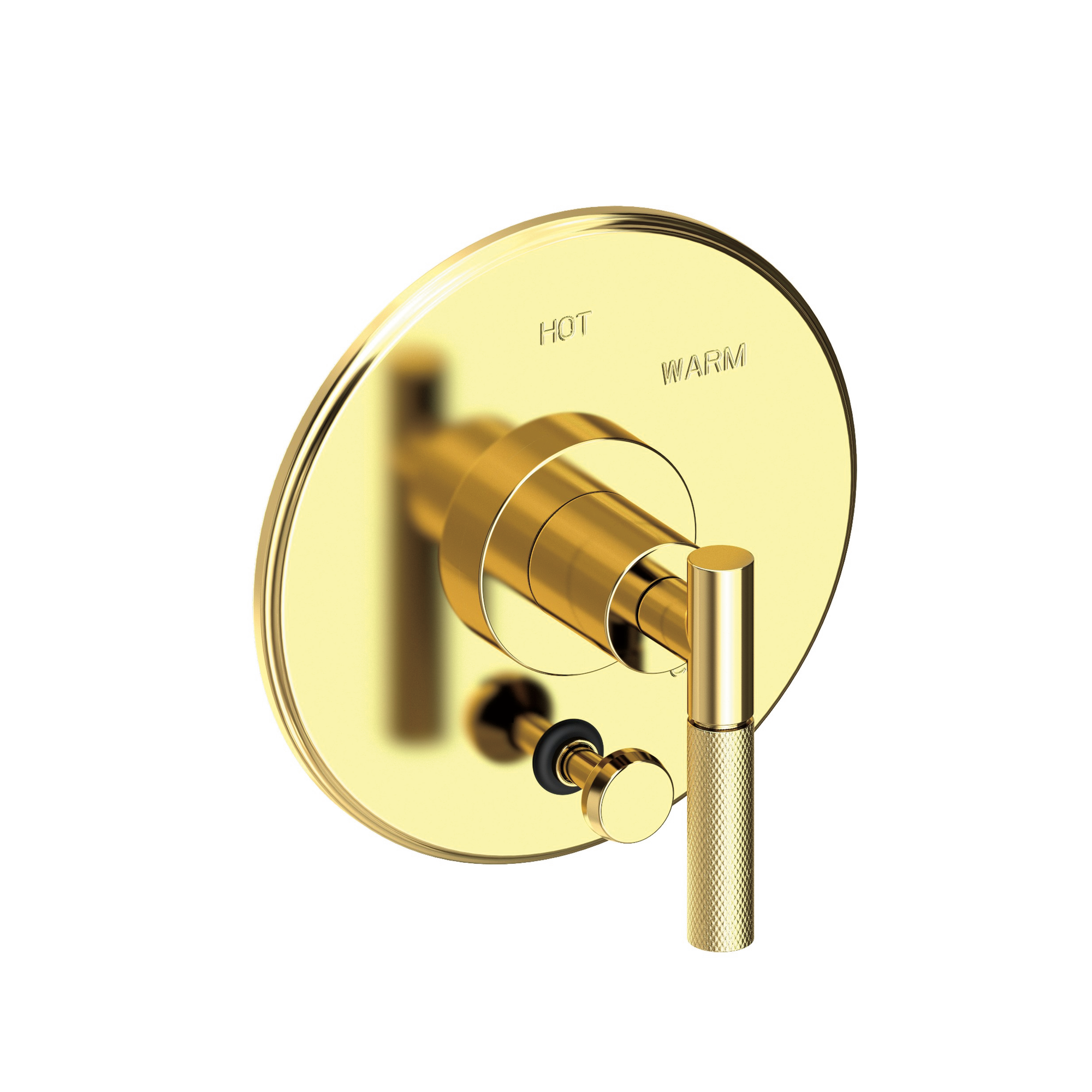 Newport Brass Muncy Balanced Pressure Tub & Shower Diverter Plate with Handle
