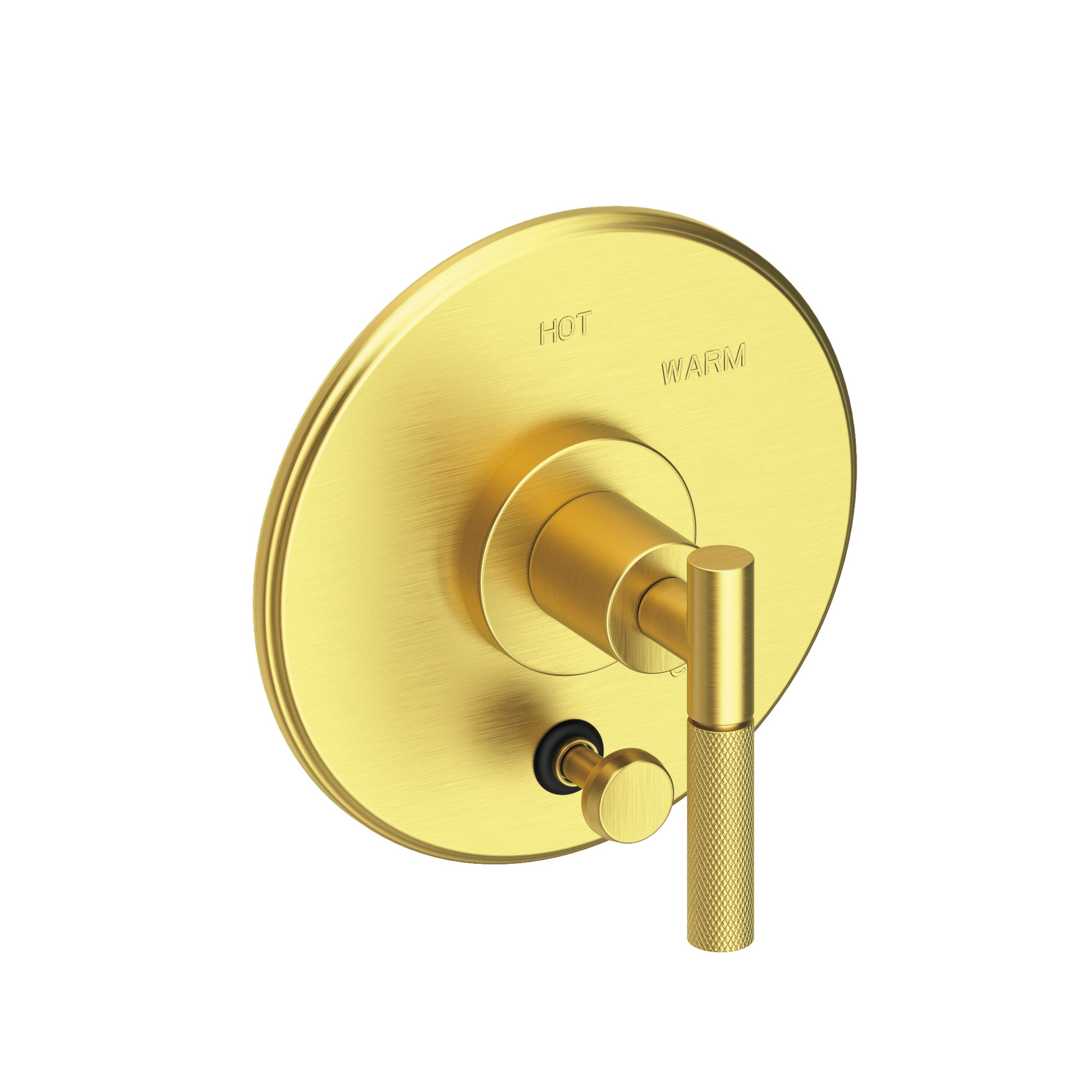 Newport Brass Muncy Balanced Pressure Tub & Shower Diverter Plate with Handle
