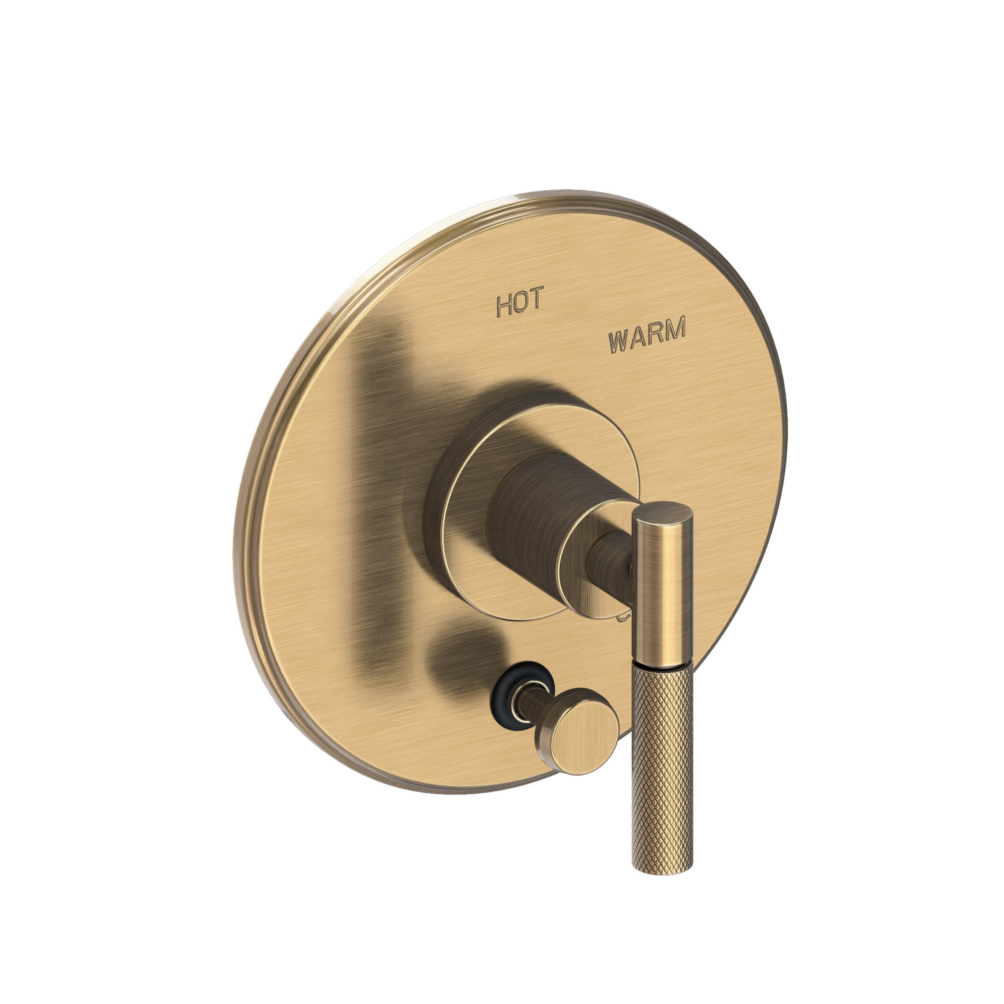 Newport Brass Muncy Balanced Pressure Tub & Shower Diverter Plate with Handle