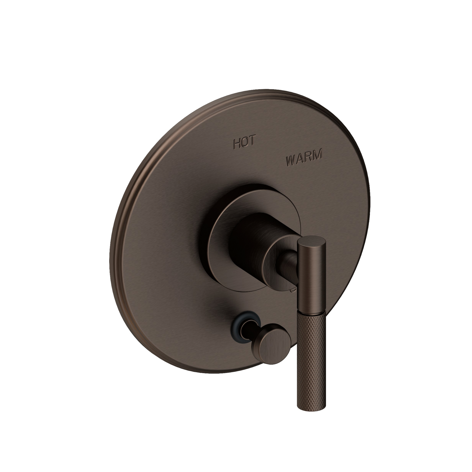 Newport Brass Muncy Balanced Pressure Tub & Shower Diverter Plate with Handle