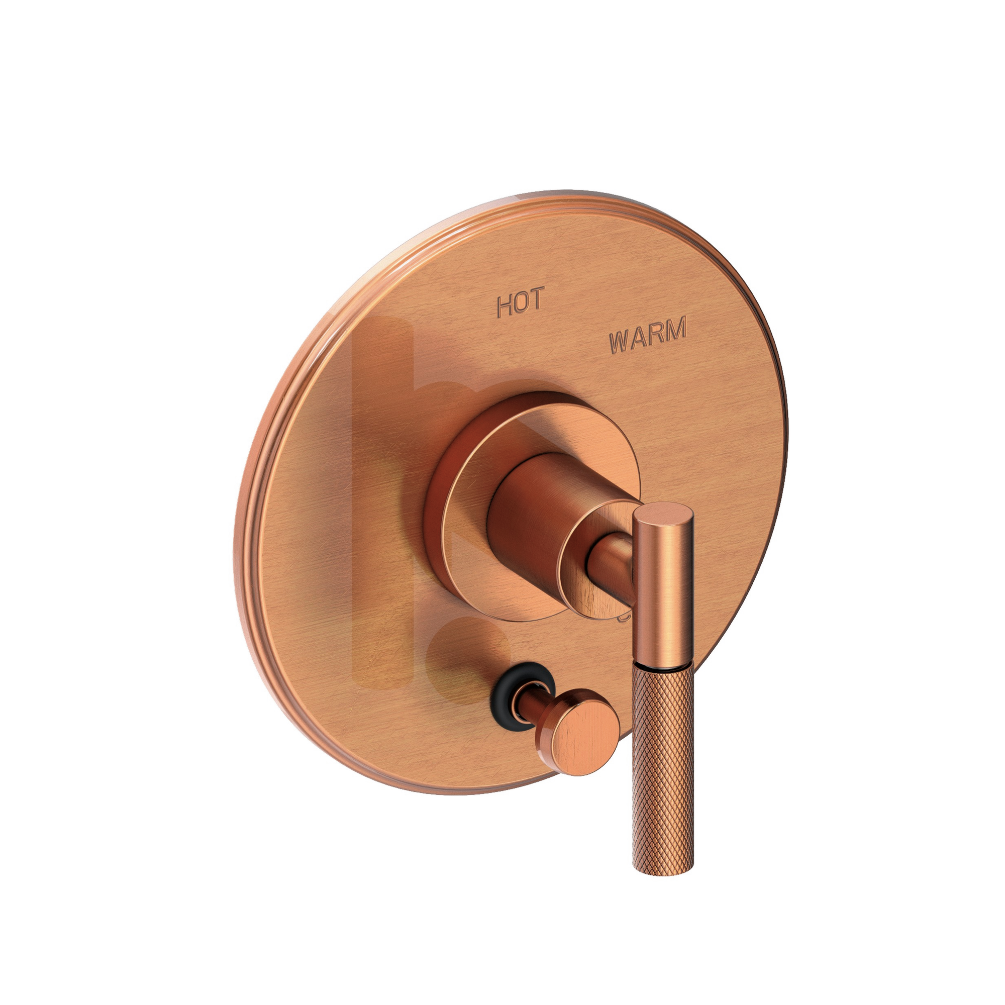 Newport Brass Muncy Balanced Pressure Tub & Shower Diverter Plate with Handle