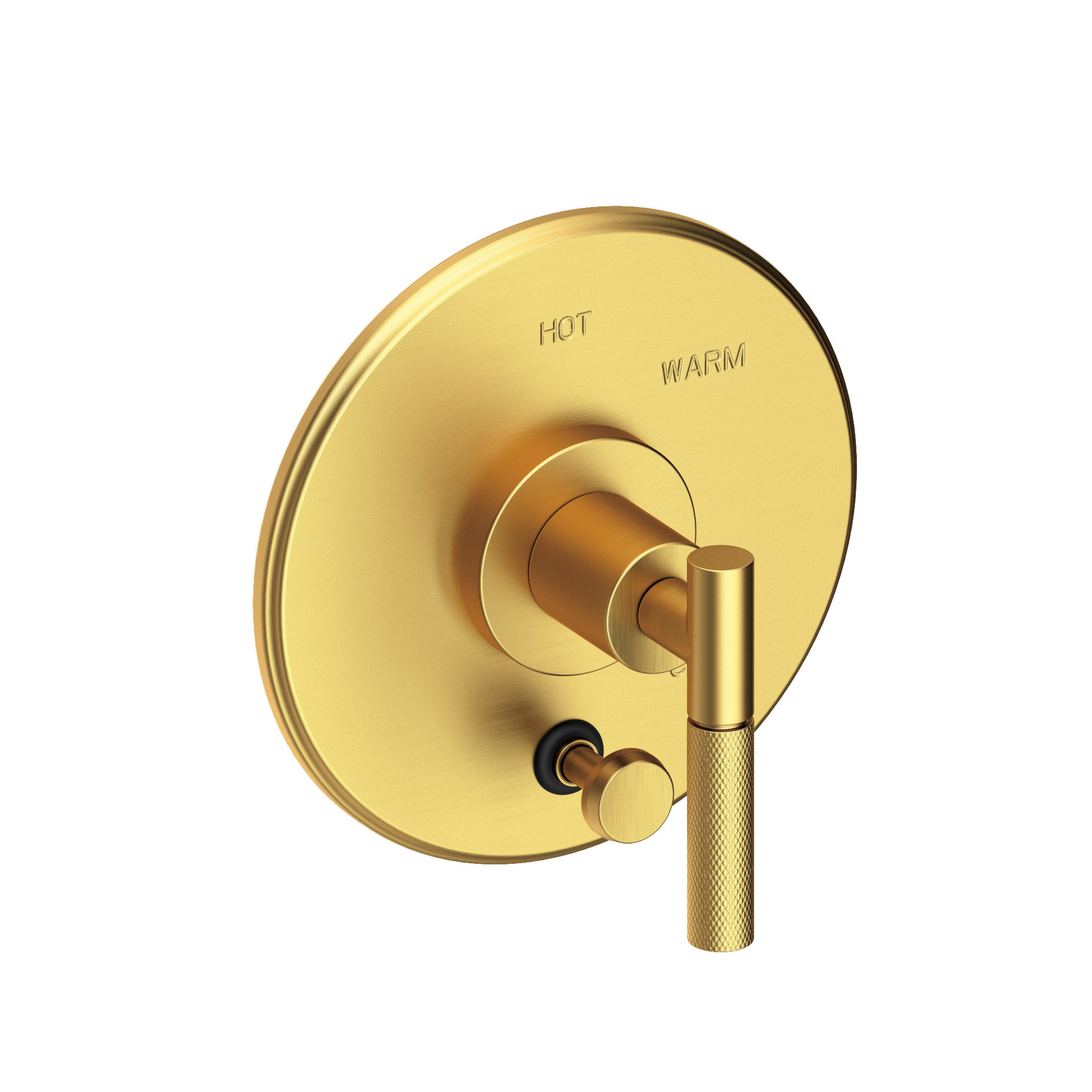 Newport Brass Muncy Balanced Pressure Tub & Shower Diverter Plate with Handle