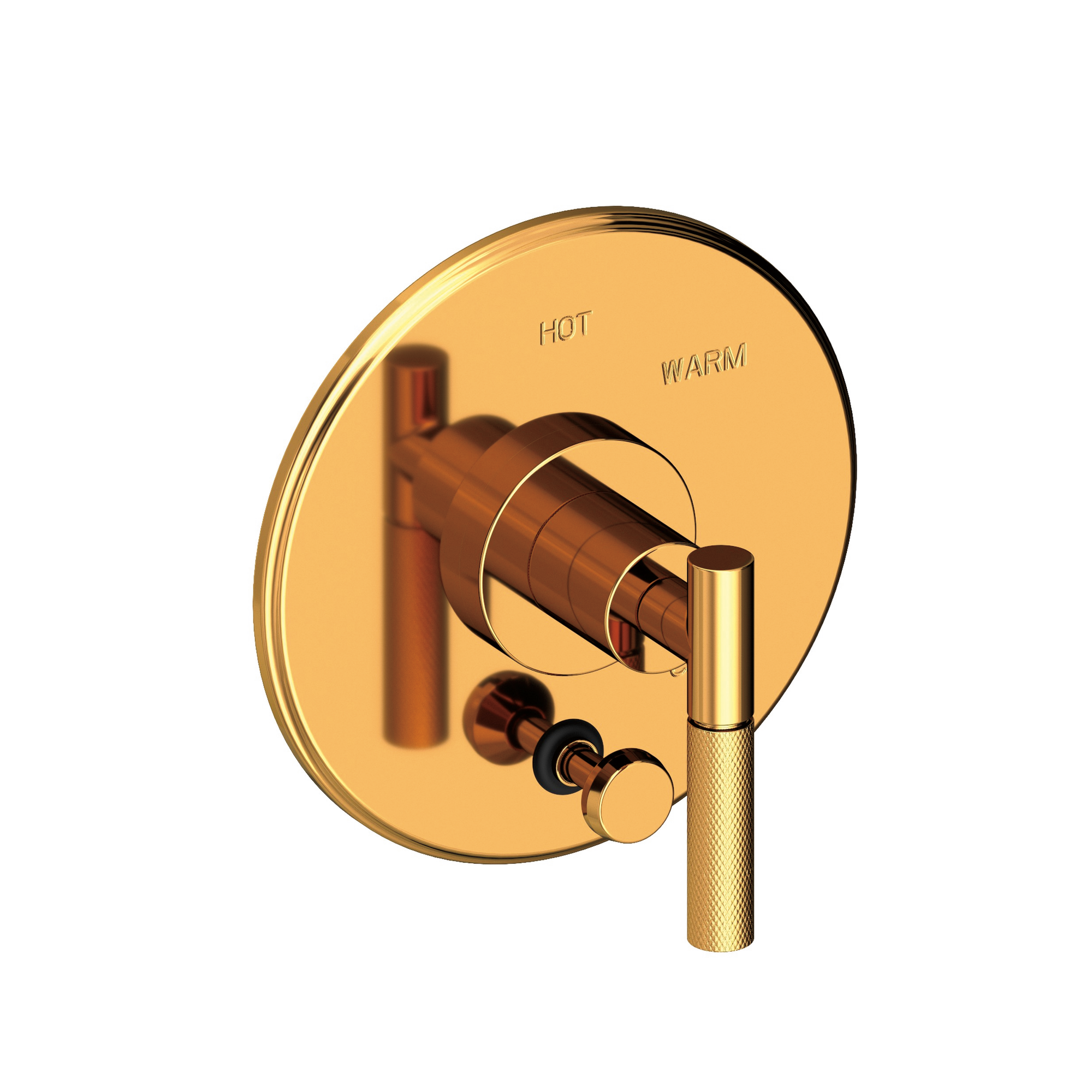 Newport Brass Muncy Balanced Pressure Tub & Shower Diverter Plate with Handle