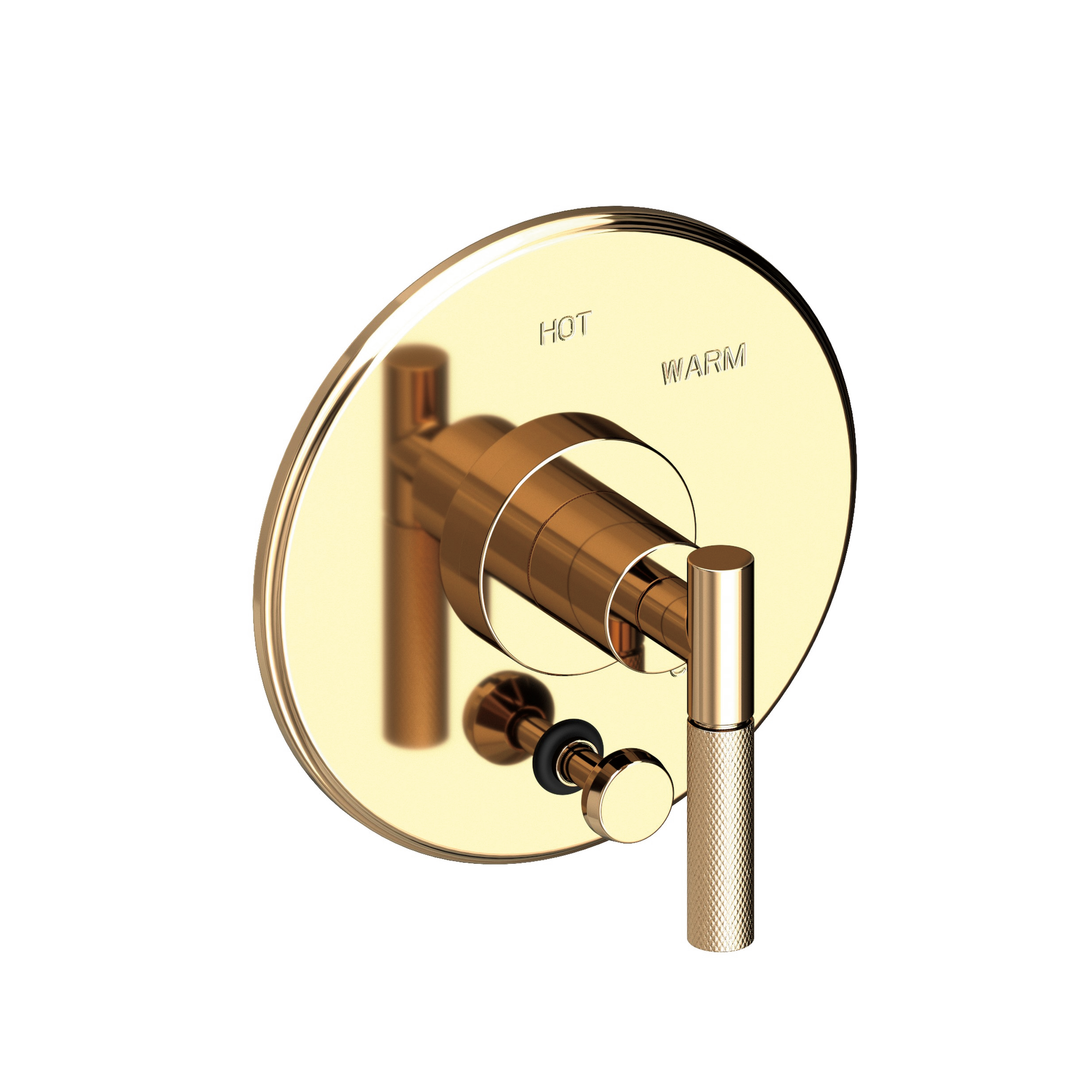 Newport Brass Muncy Balanced Pressure Tub & Shower Diverter Plate with Handle