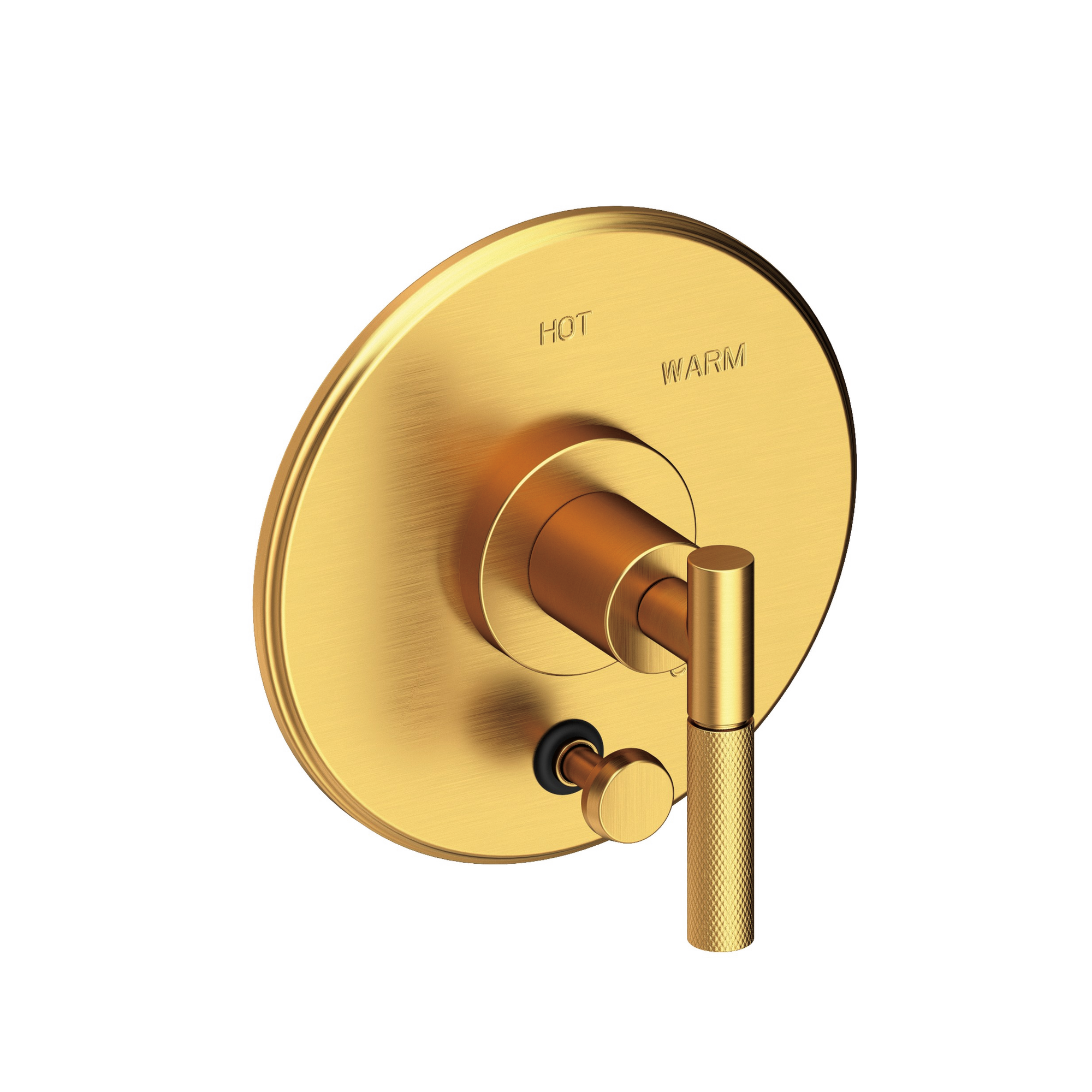 Newport Brass Muncy Balanced Pressure Tub & Shower Diverter Plate with Handle