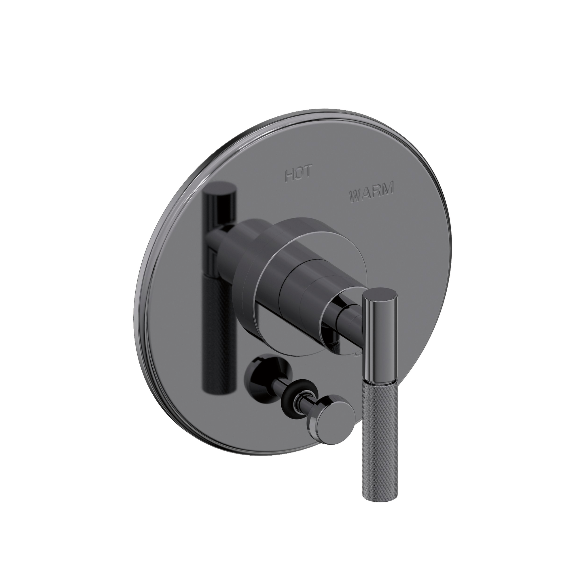 Newport Brass Muncy Balanced Pressure Tub & Shower Diverter Plate with Handle