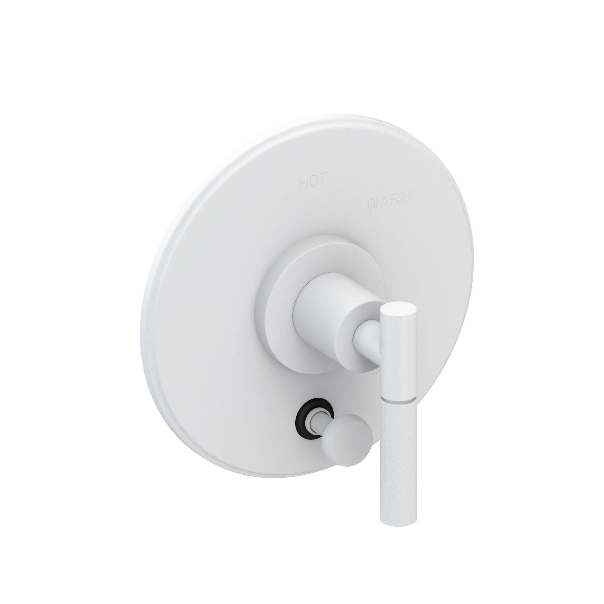 Newport Brass Muncy Balanced Pressure Tub & Shower Diverter Plate with Handle