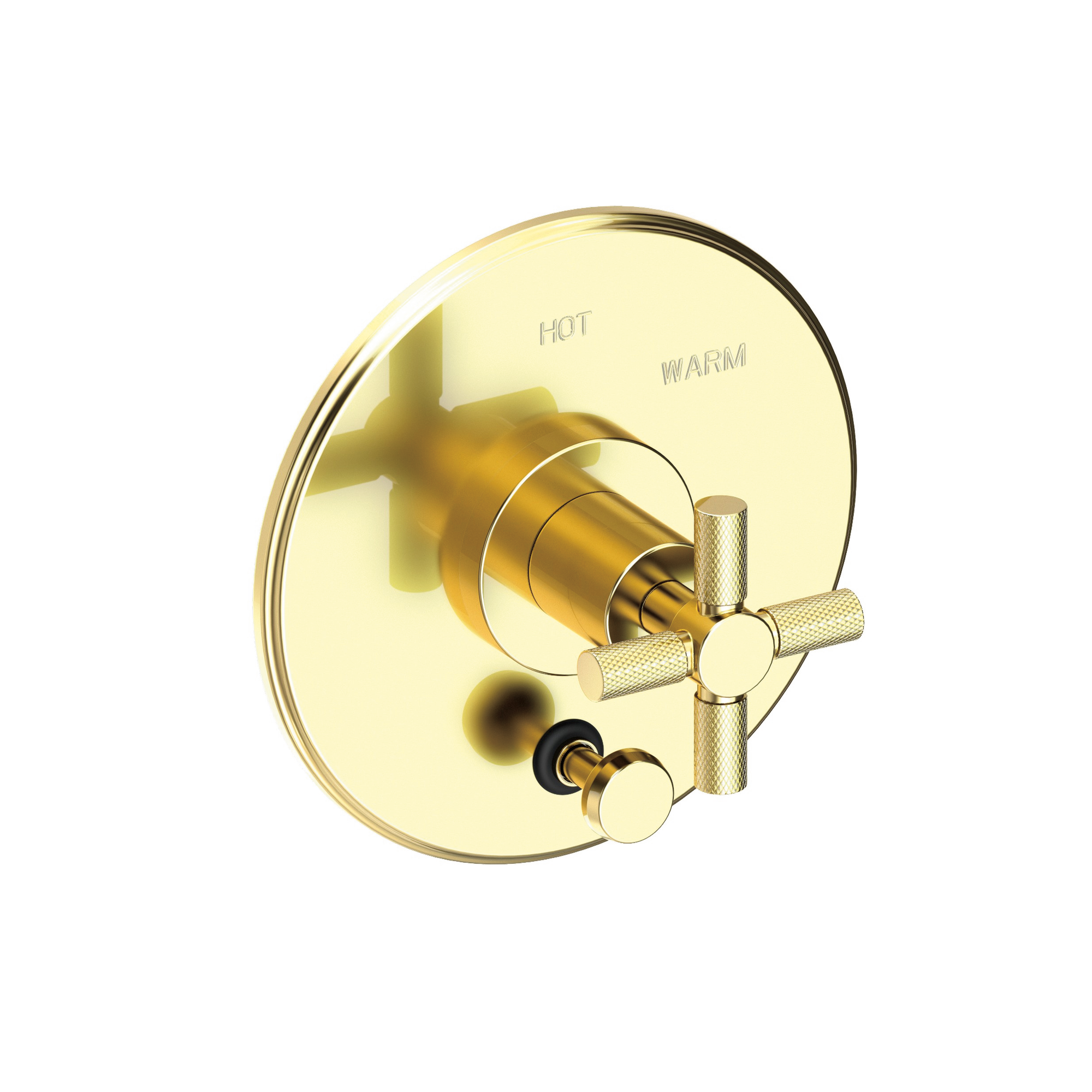 Newport Brass Muncy Balanced Pressure Tub & Shower Diverter Plate with Handle