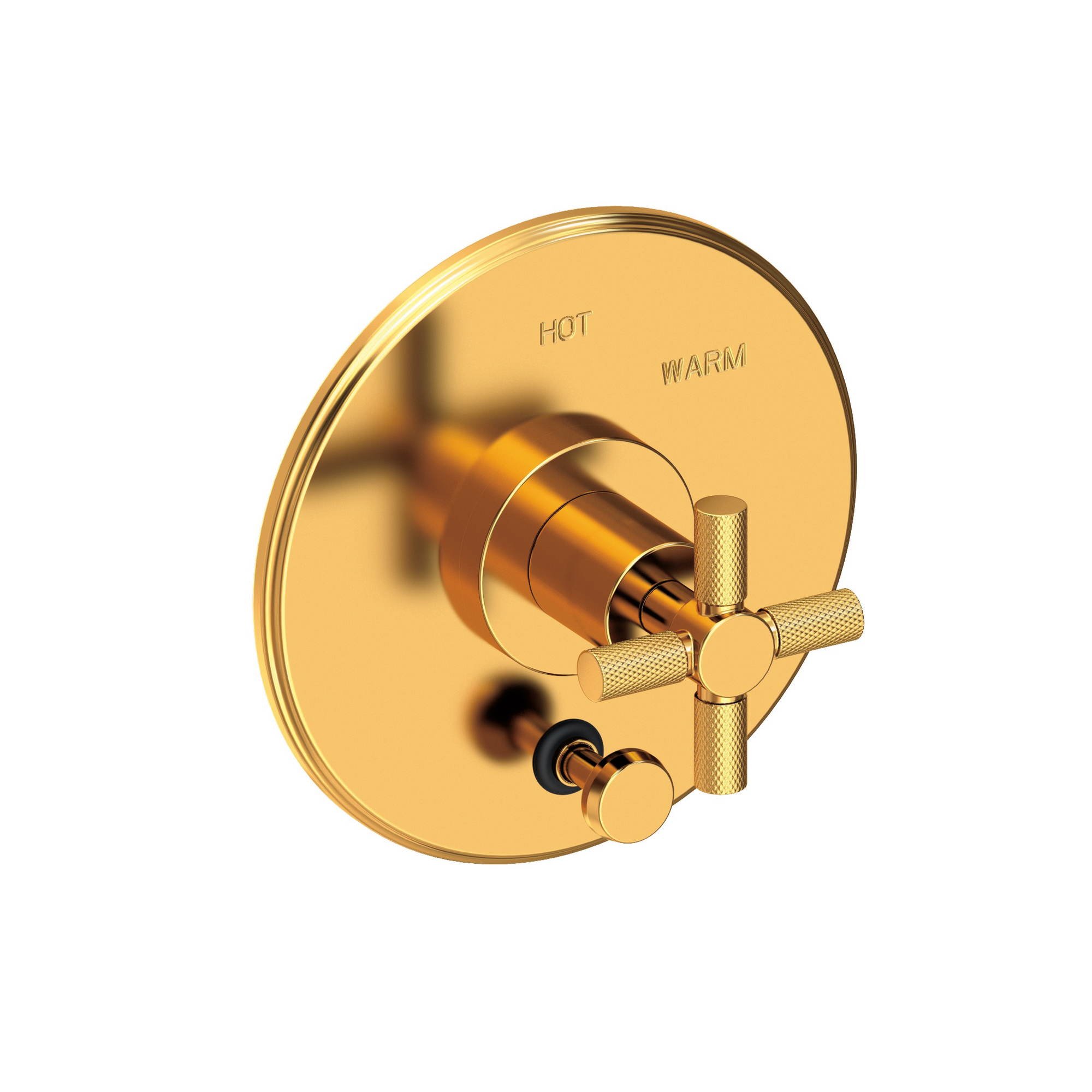 Newport Brass Muncy Balanced Pressure Tub & Shower Diverter Plate with Handle
