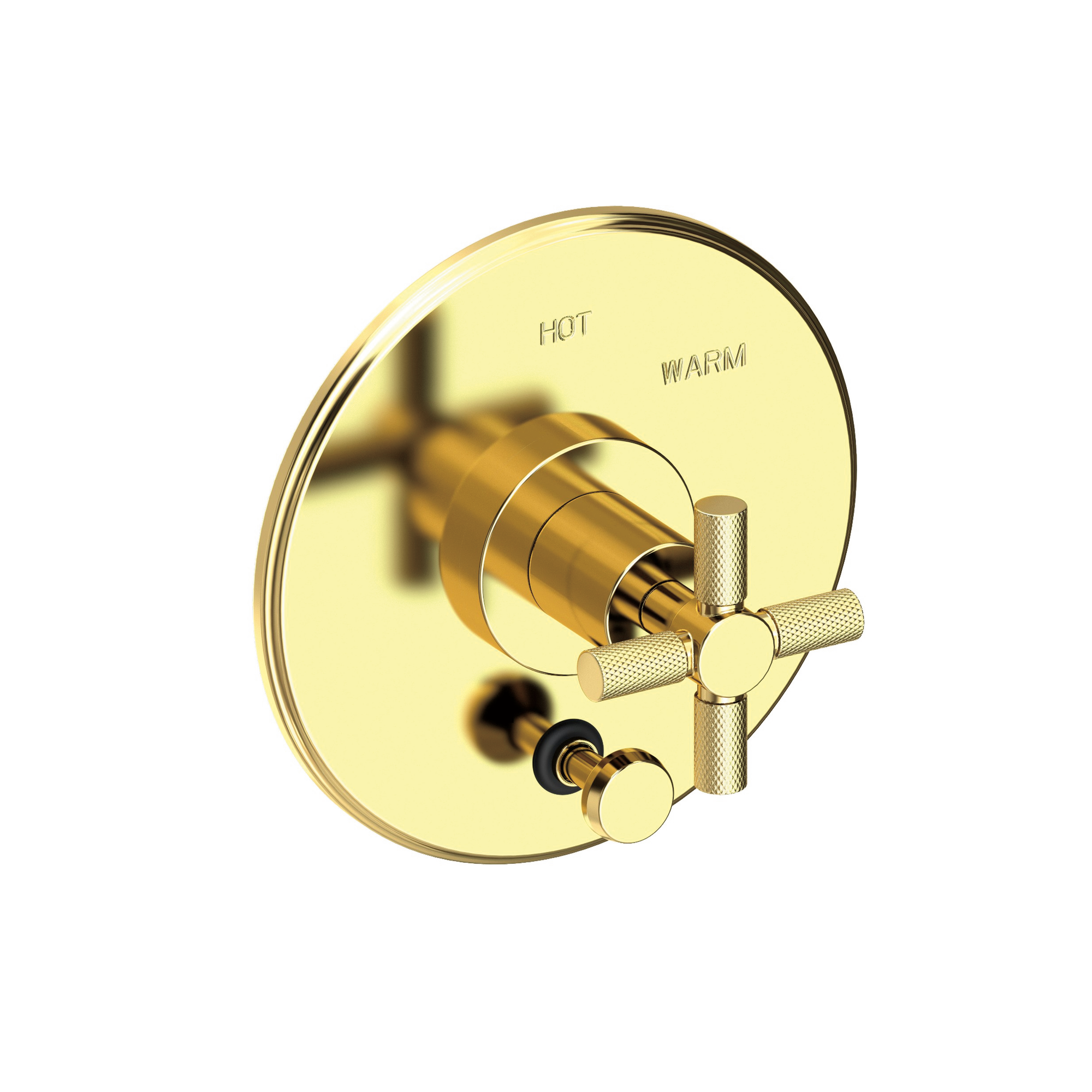 Newport Brass Muncy Balanced Pressure Tub & Shower Diverter Plate with Handle