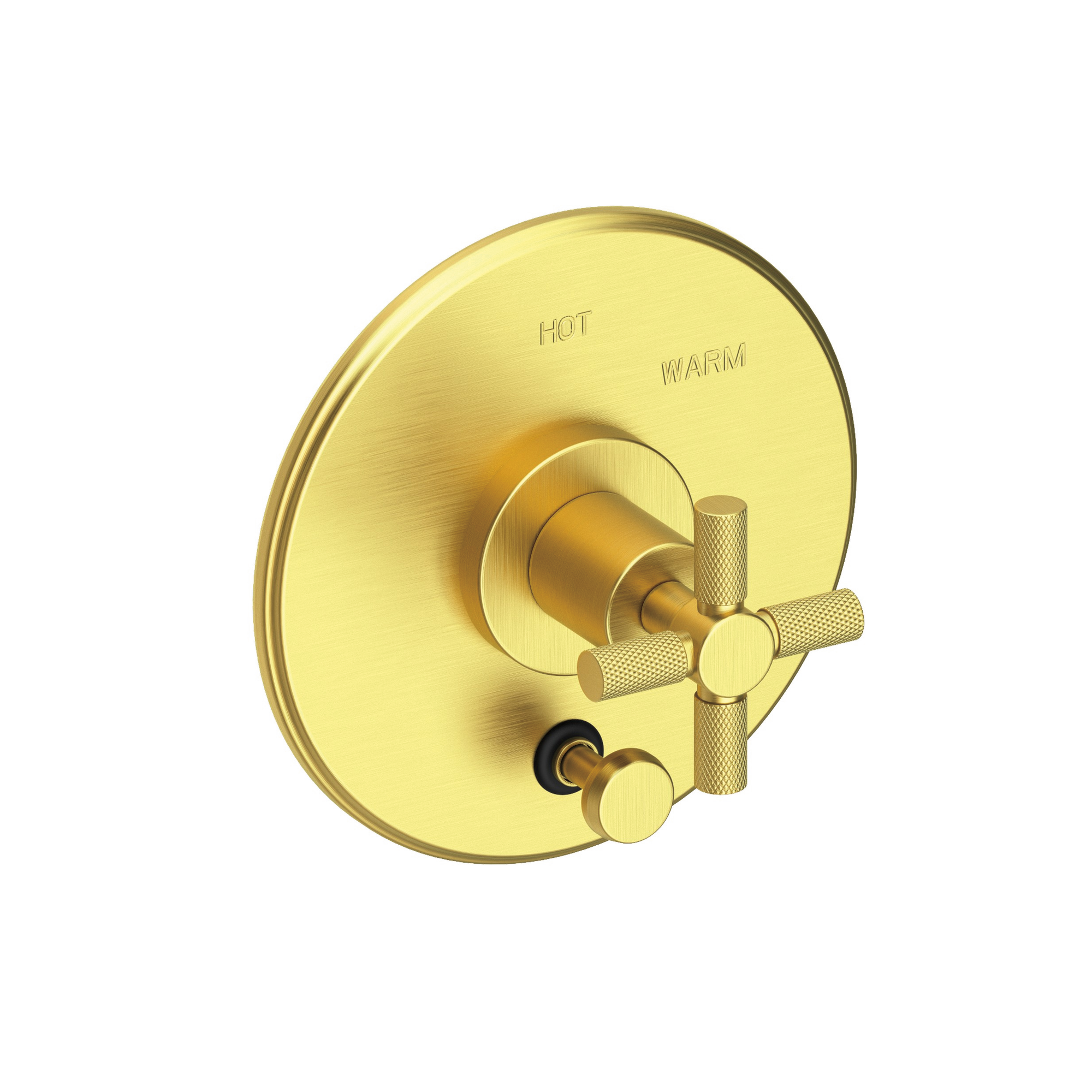 Newport Brass Muncy Balanced Pressure Tub & Shower Diverter Plate with Handle