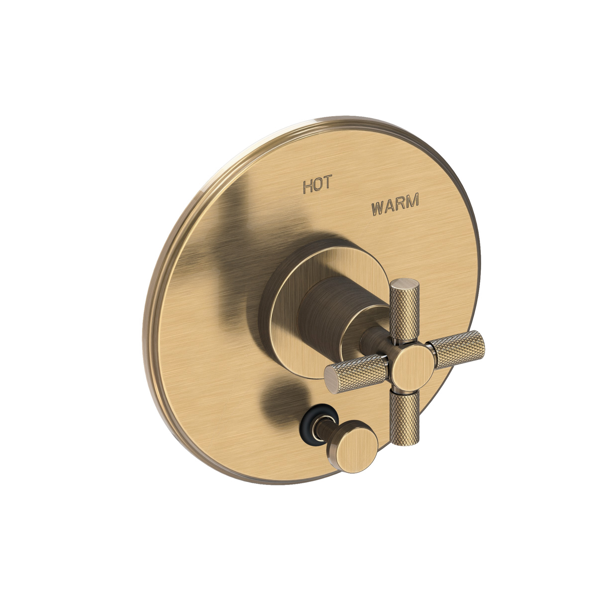 Newport Brass Muncy Balanced Pressure Tub & Shower Diverter Plate with Handle