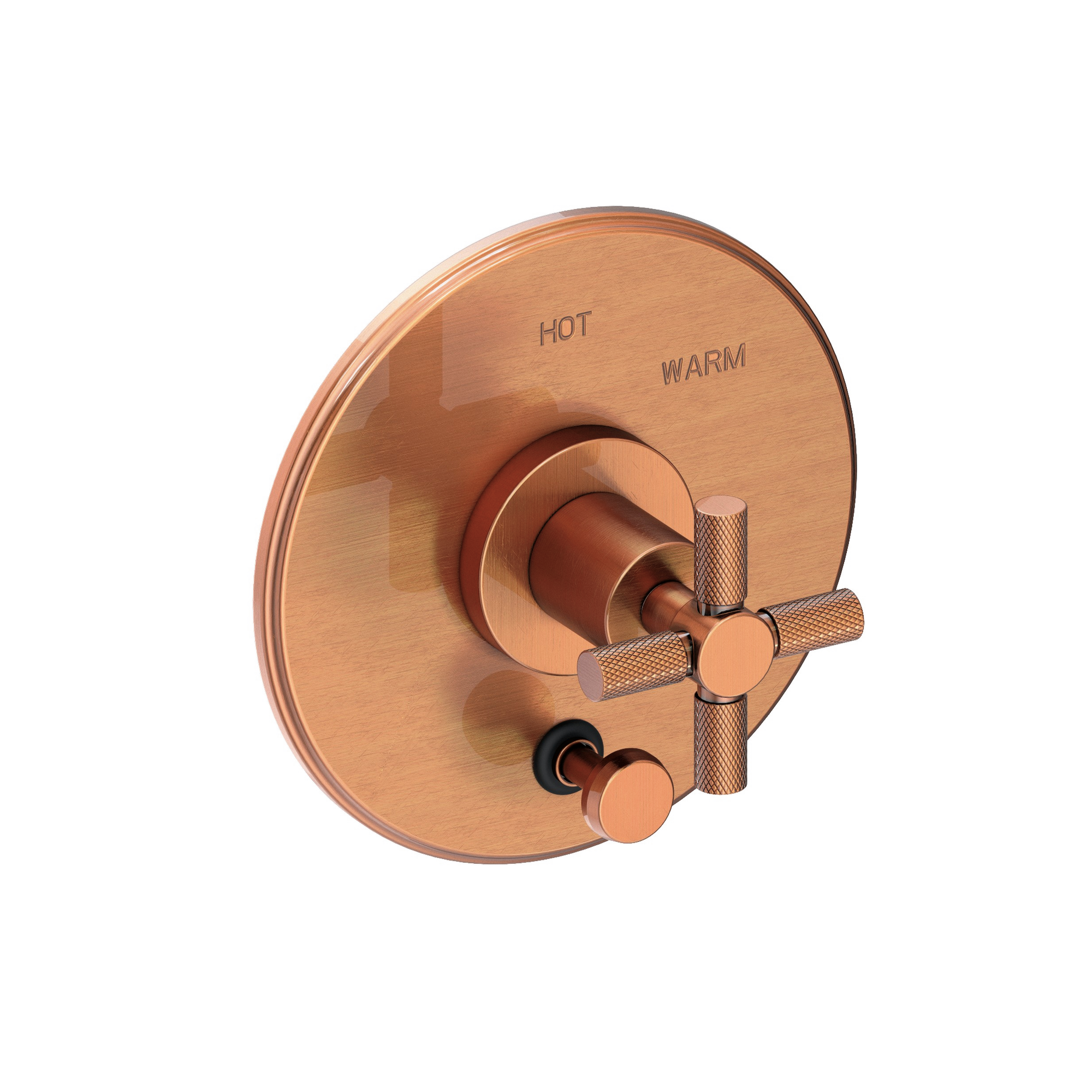 Newport Brass Muncy Balanced Pressure Tub & Shower Diverter Plate with Handle