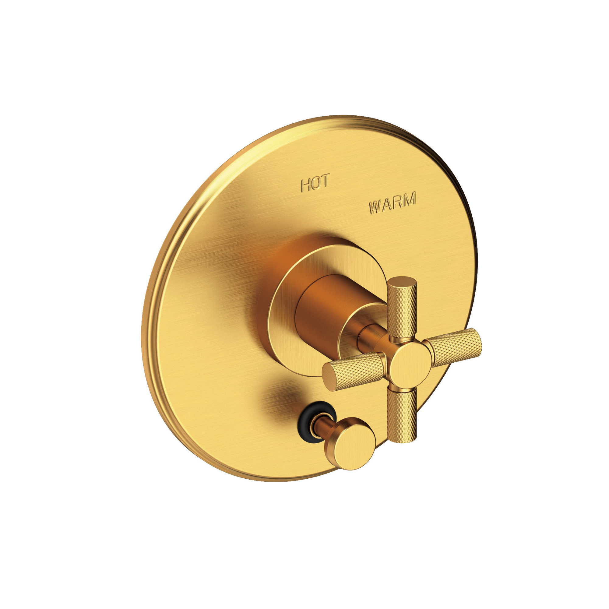Newport Brass Muncy Balanced Pressure Tub & Shower Diverter Plate with Handle
