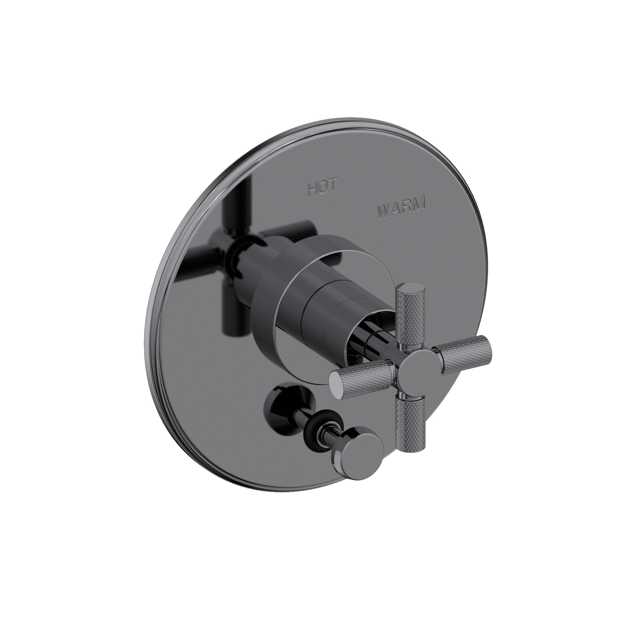 Newport Brass Muncy Balanced Pressure Tub & Shower Diverter Plate with Handle