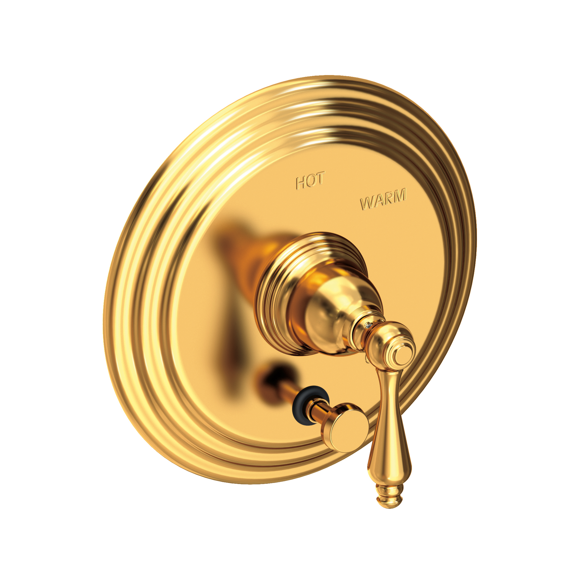 Newport Brass Seaport® Balanced Pressure Tub & Shower Diverter Plate with Handle
