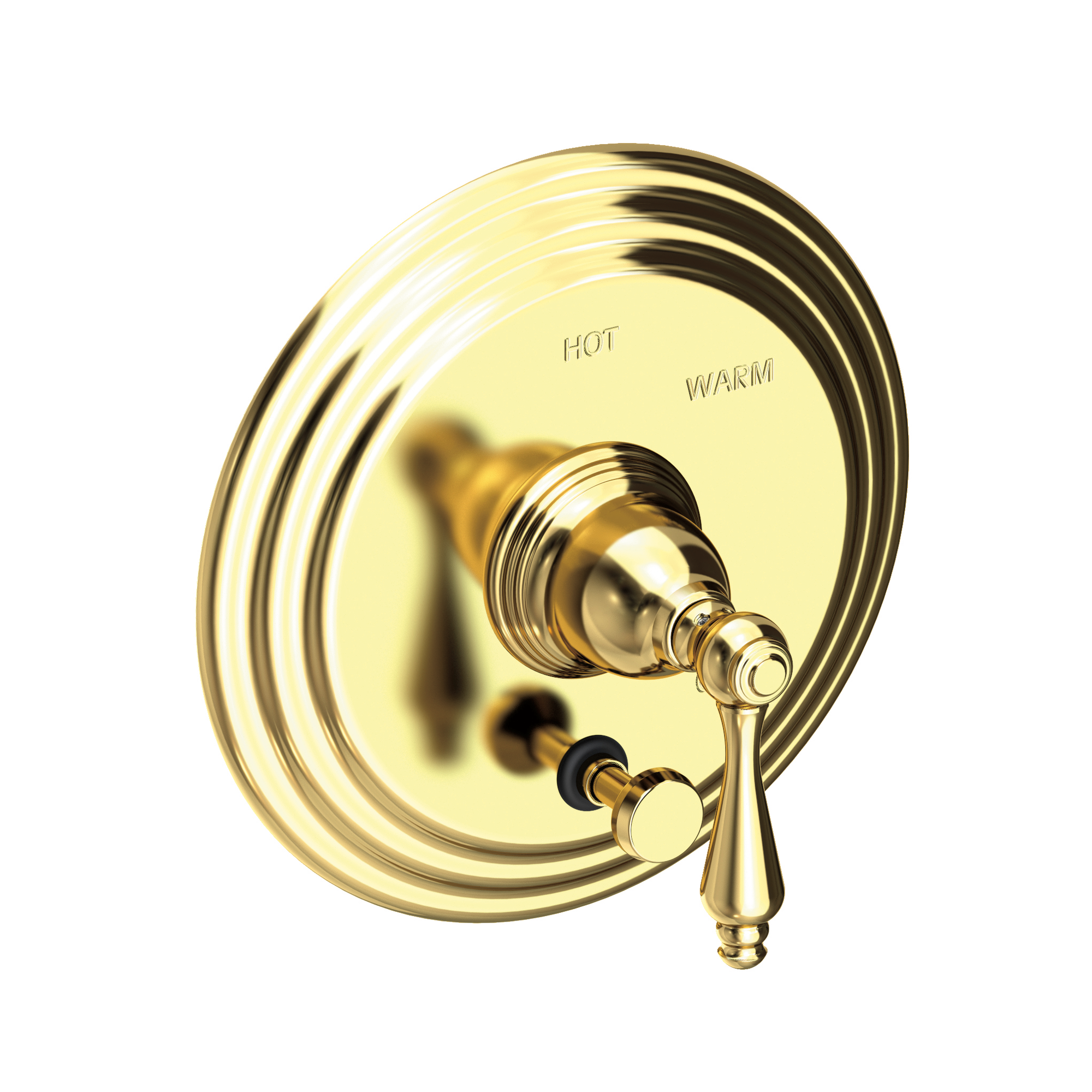 Newport Brass Seaport® Balanced Pressure Tub & Shower Diverter Plate with Handle