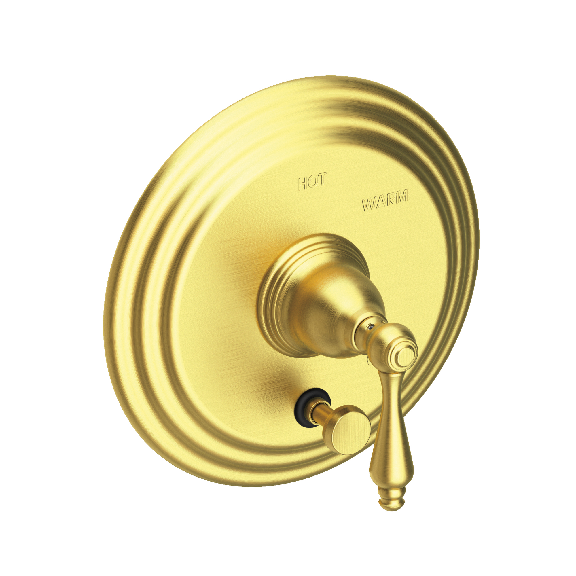 Newport Brass Seaport® Balanced Pressure Tub & Shower Diverter Plate with Handle