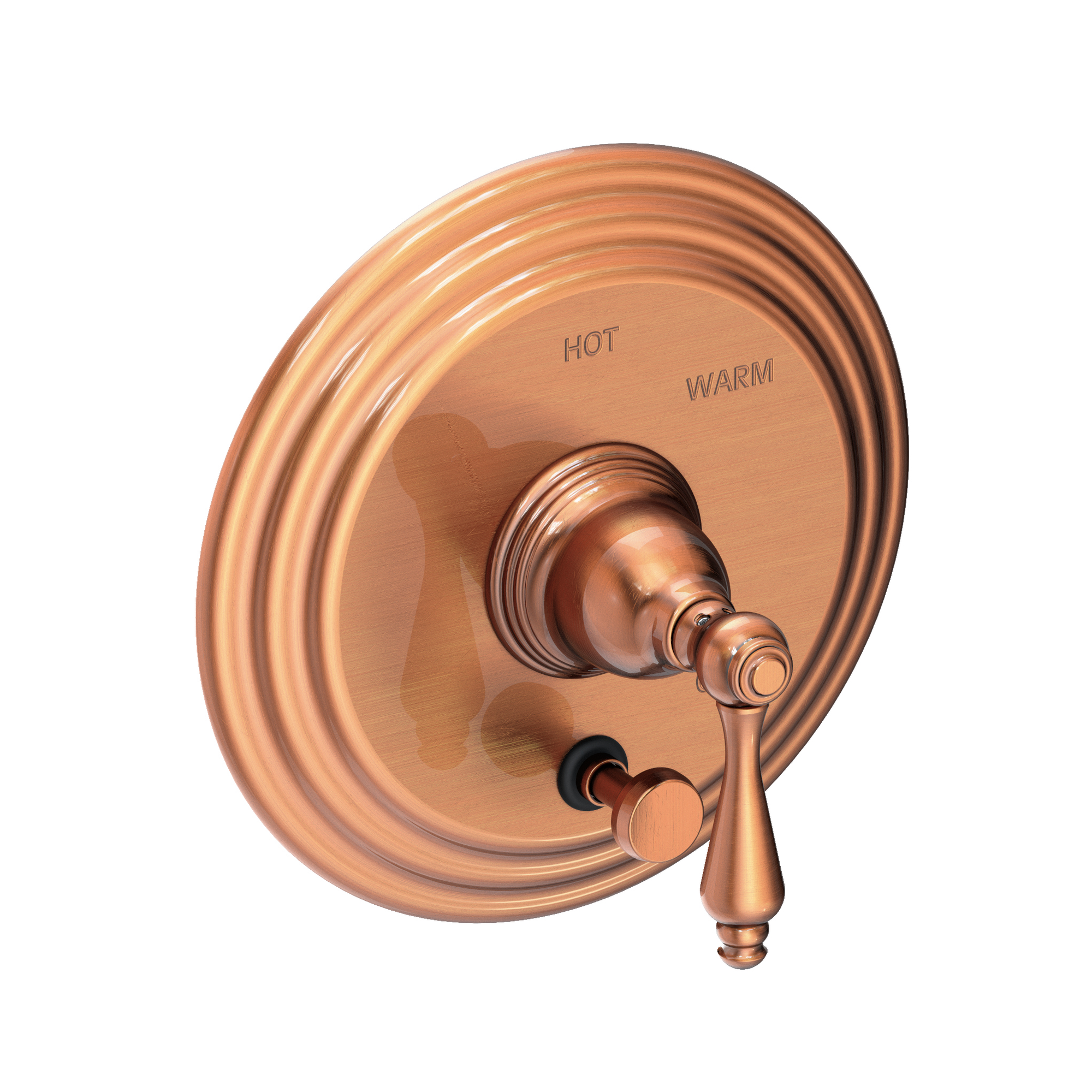 Newport Brass Seaport® Balanced Pressure Tub & Shower Diverter Plate with Handle