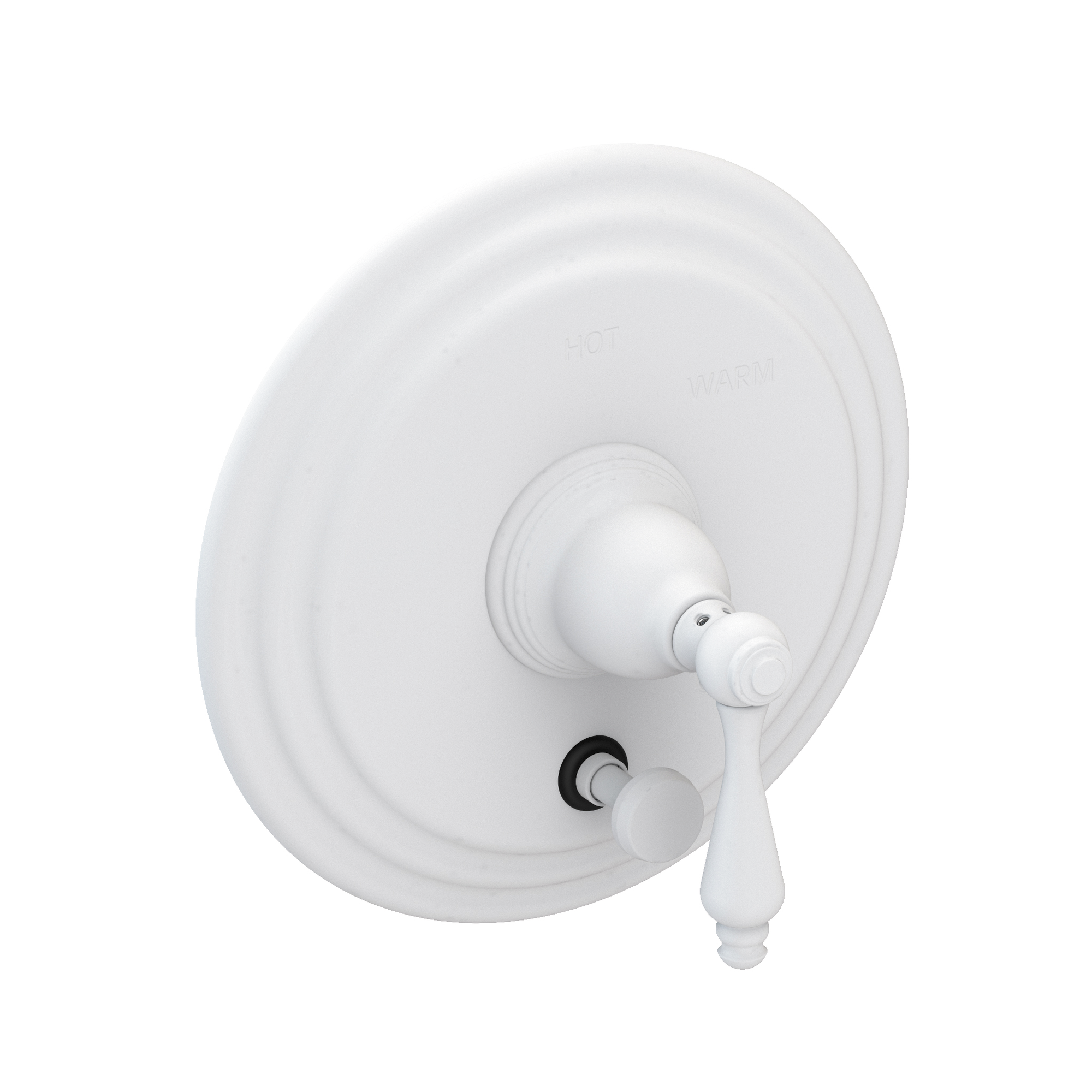 Newport Brass Seaport® Balanced Pressure Tub & Shower Diverter Plate with Handle