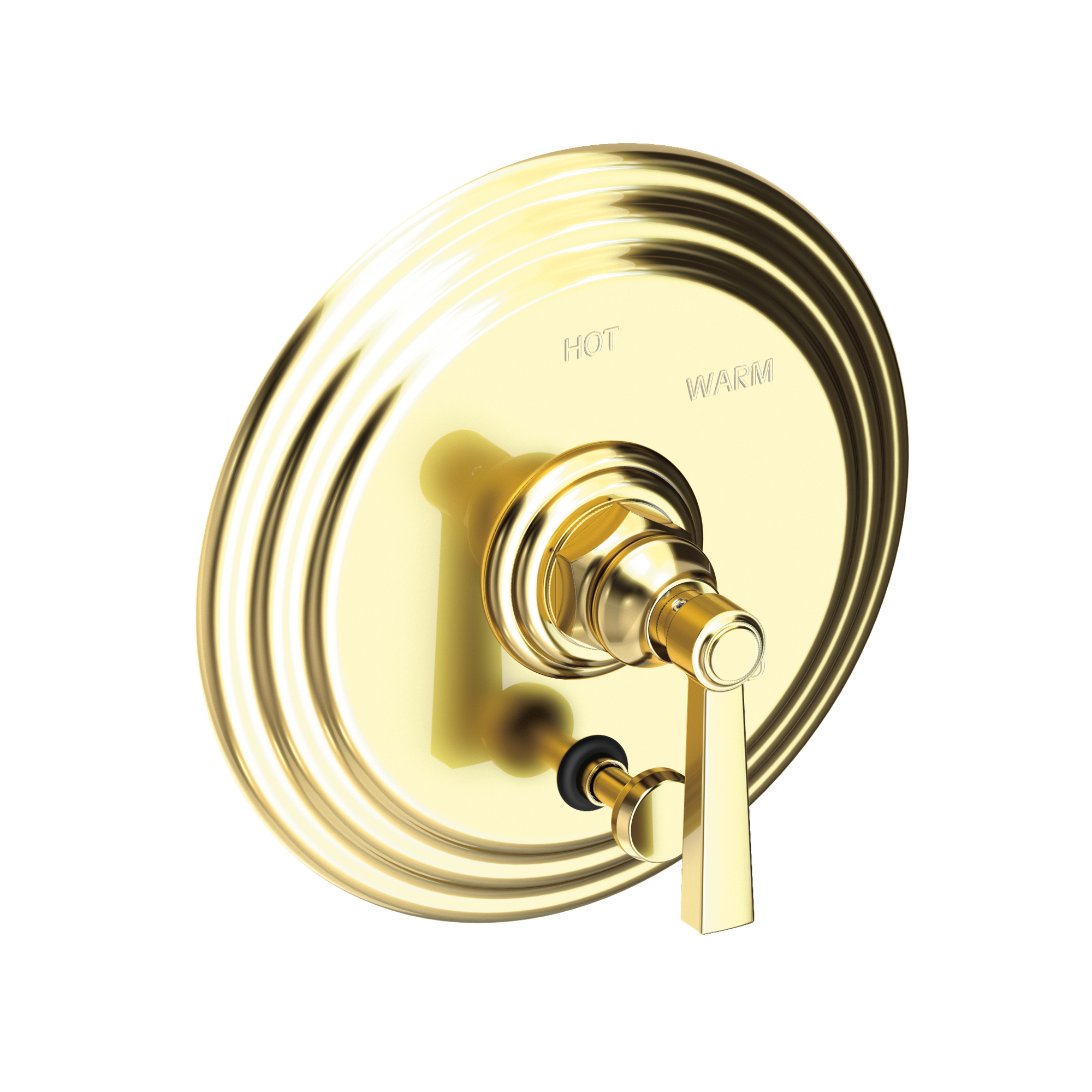 Newport Brass Astor® Balanced Pressure Tub & Shower Diverter Plate with Handle