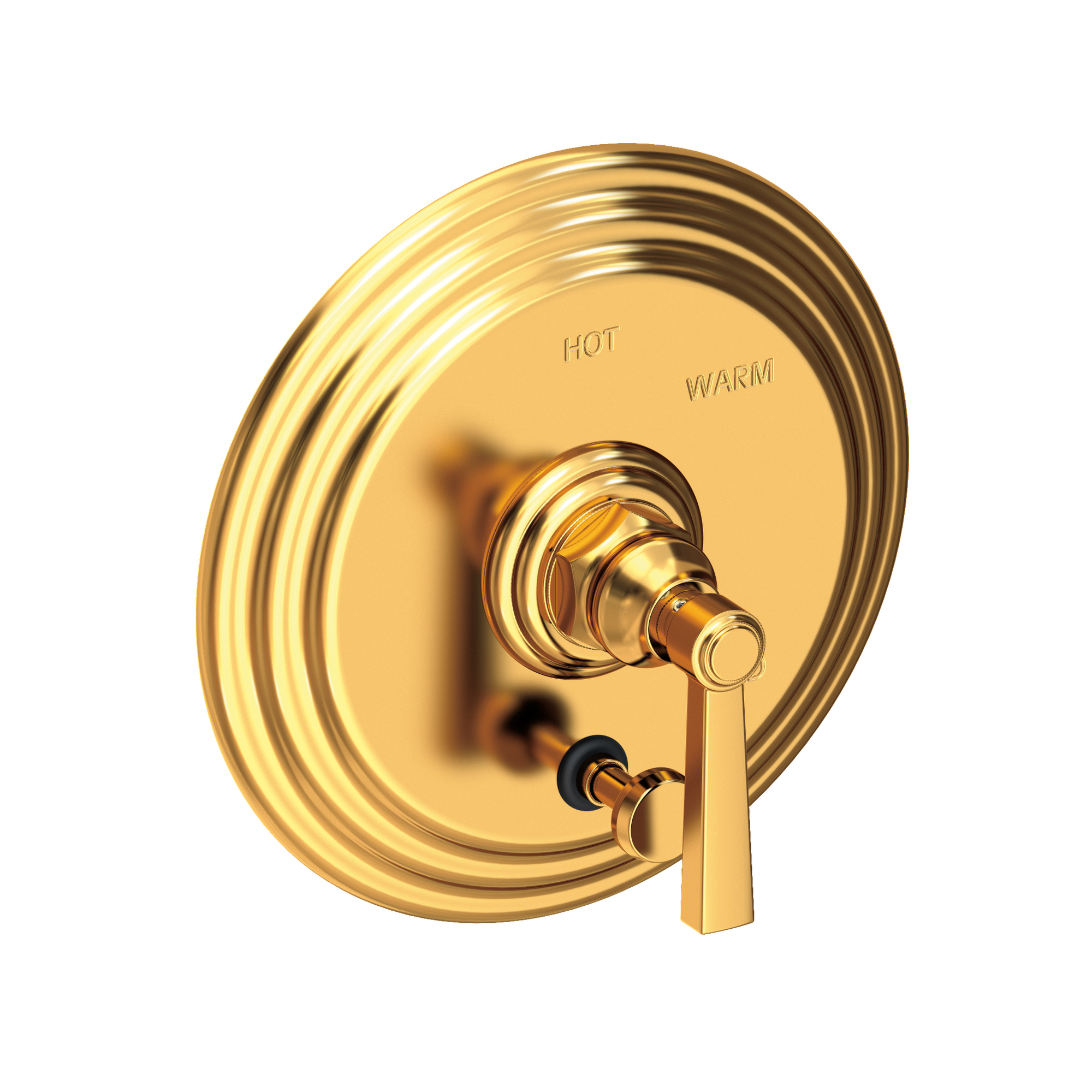 Newport Brass Astor® Balanced Pressure Tub & Shower Diverter Plate with Handle