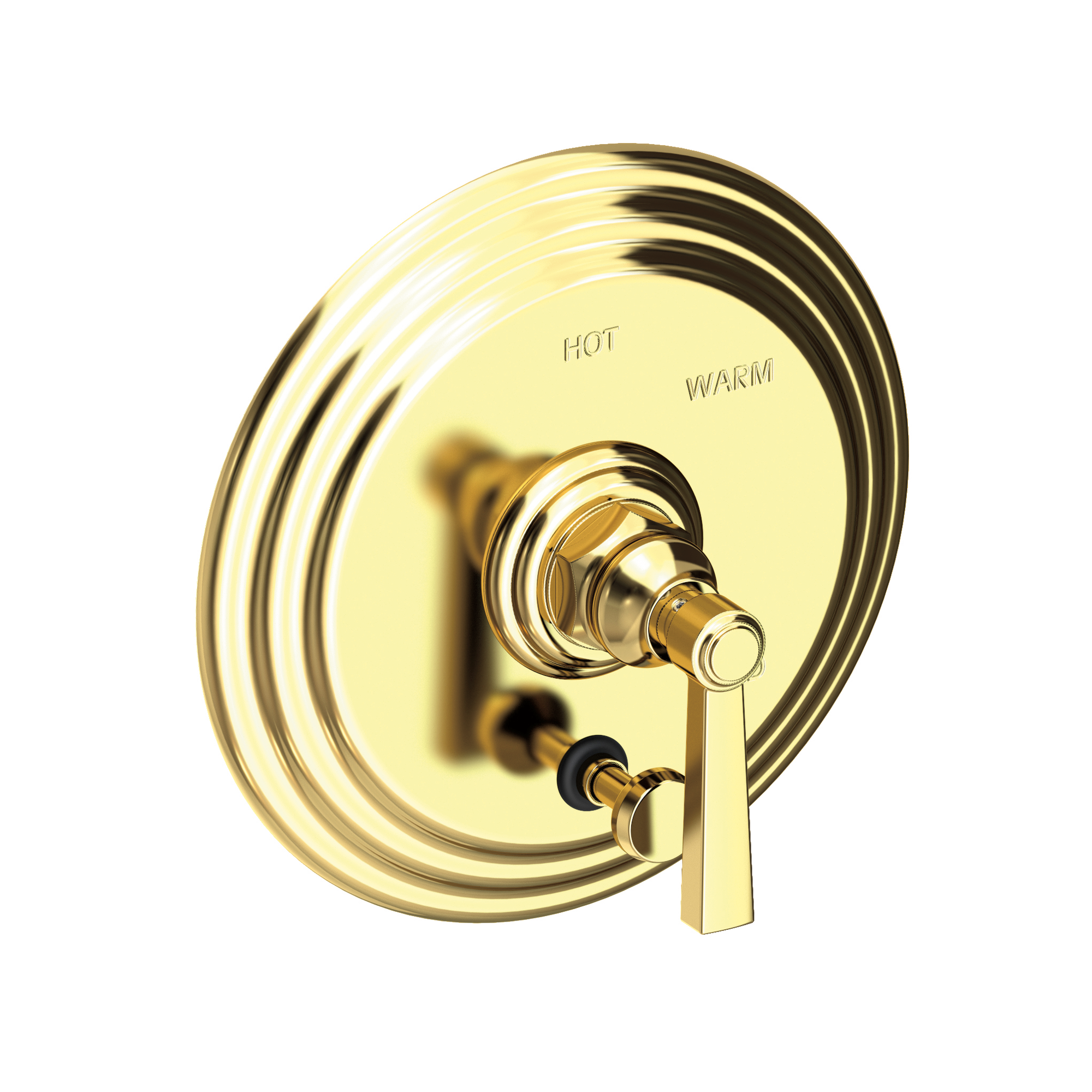 Newport Brass Astor® Balanced Pressure Tub & Shower Diverter Plate with Handle