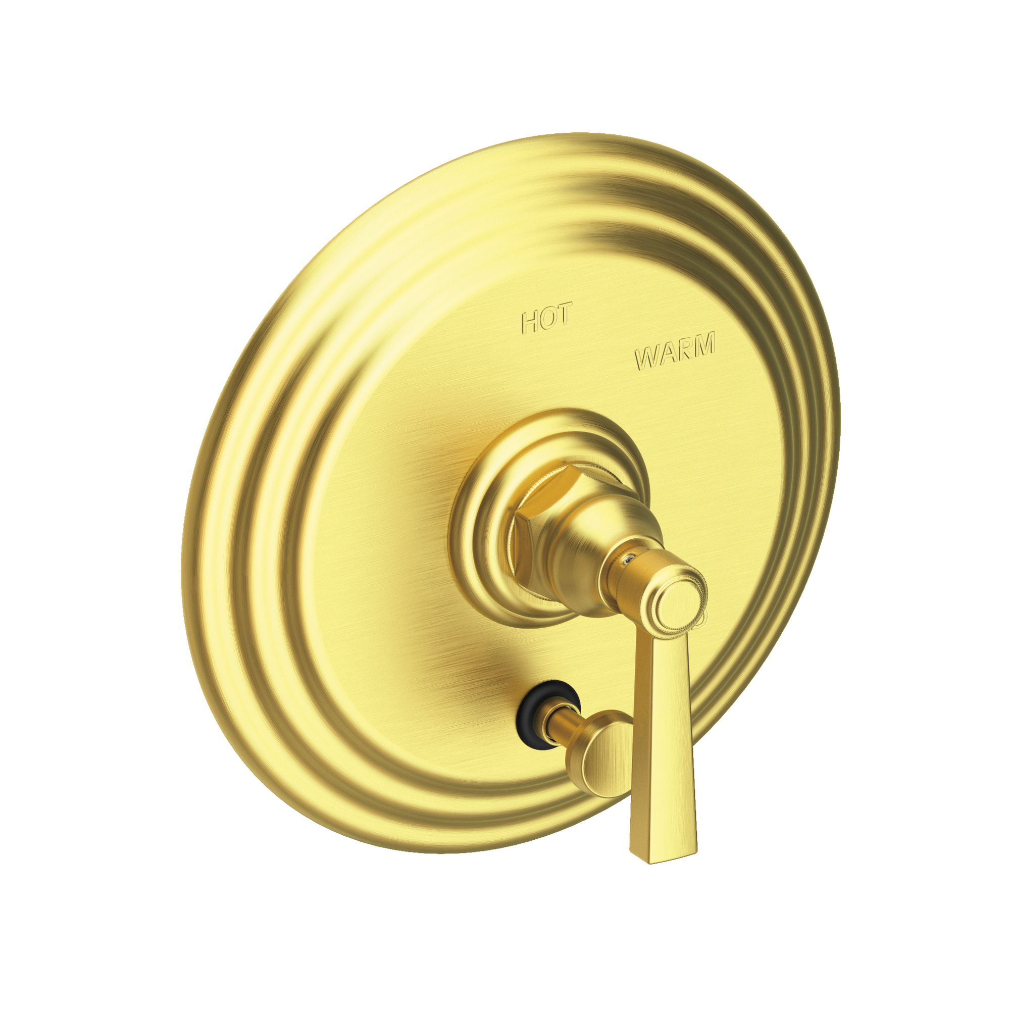Newport Brass Astor® Balanced Pressure Tub & Shower Diverter Plate with Handle