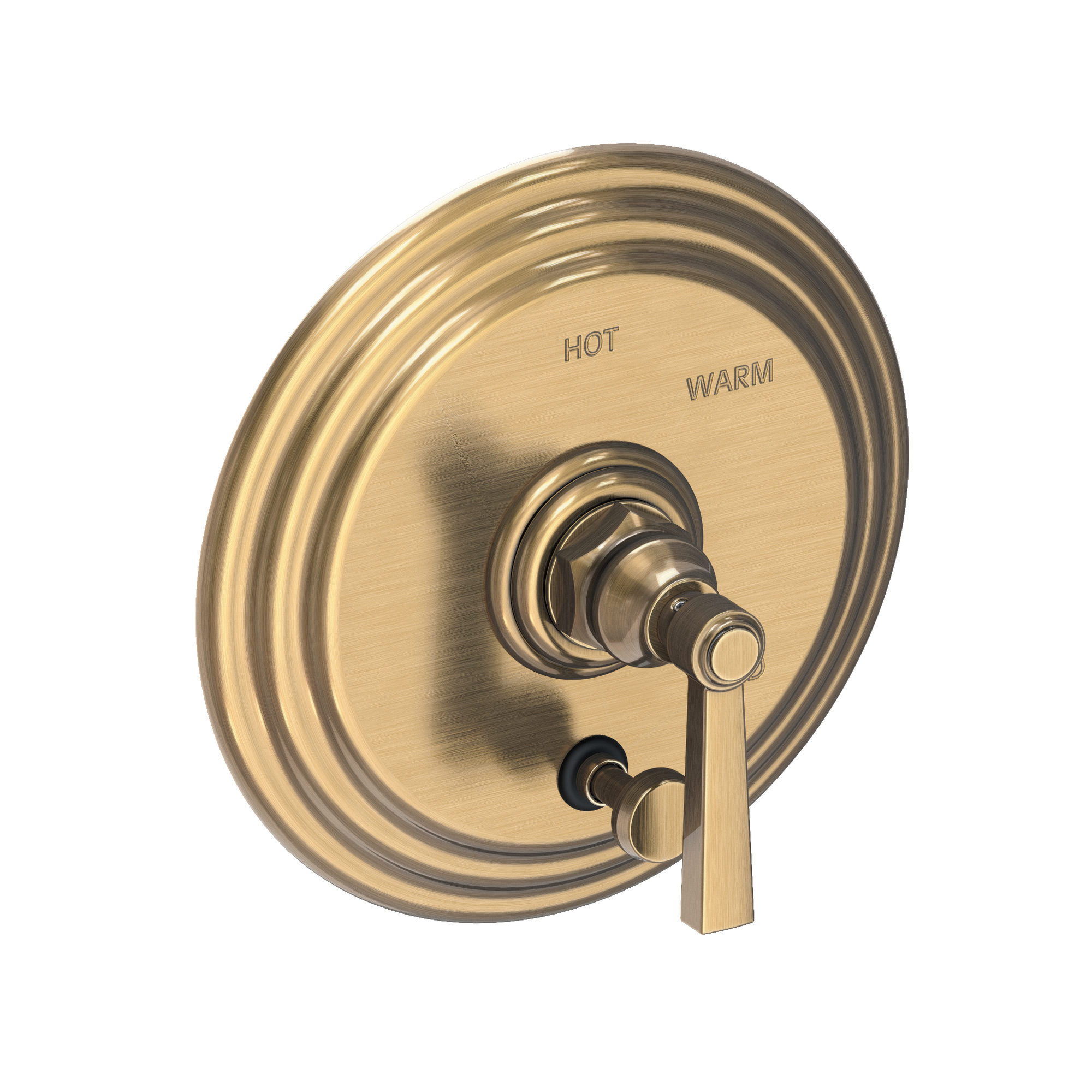 Newport Brass Astor® Balanced Pressure Tub & Shower Diverter Plate with Handle