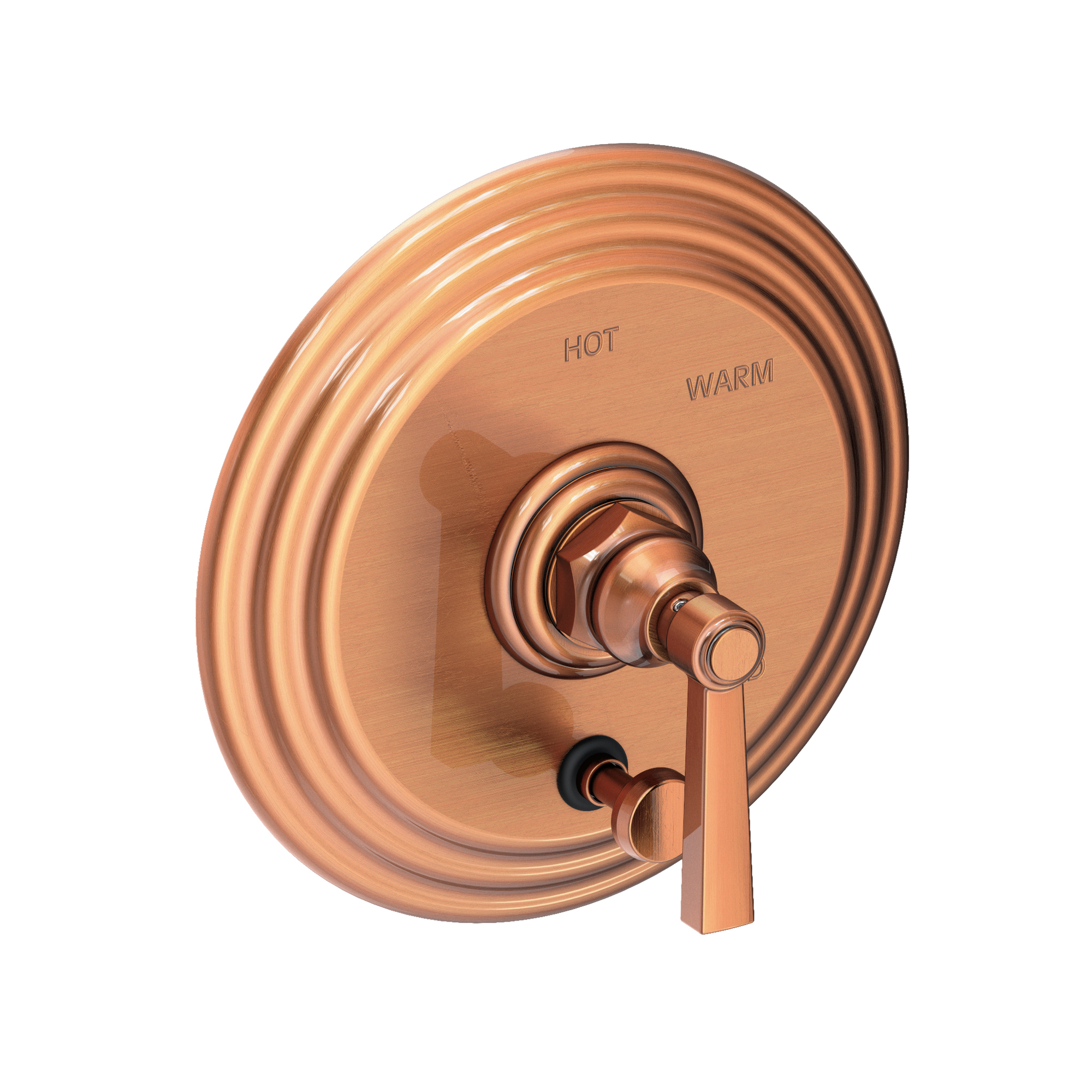 Newport Brass Astor® Balanced Pressure Tub & Shower Diverter Plate with Handle