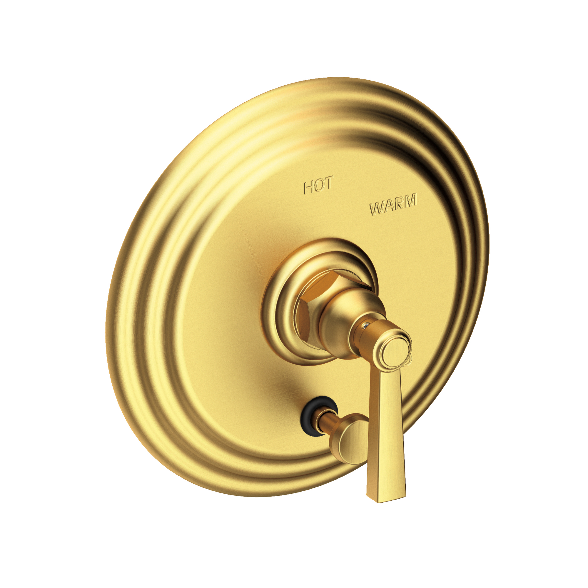 Newport Brass Astor® Balanced Pressure Tub & Shower Diverter Plate with Handle