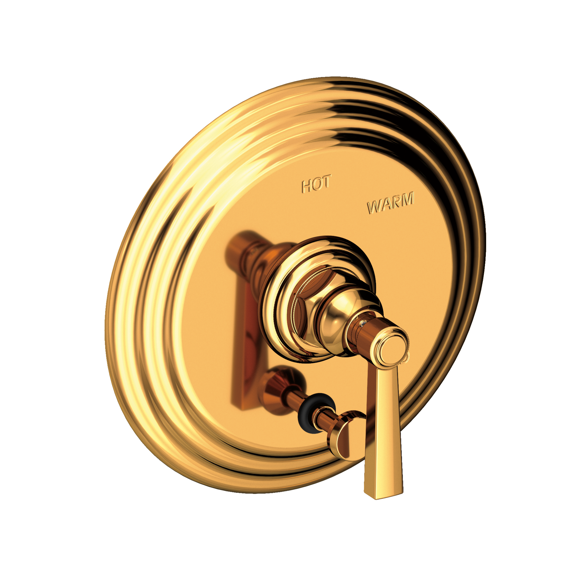 Newport Brass Astor® Balanced Pressure Tub & Shower Diverter Plate with Handle