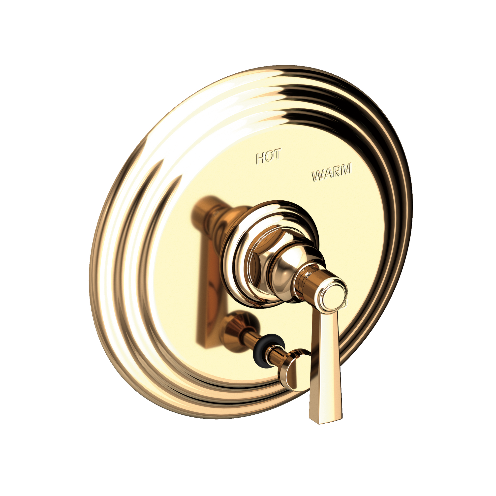 Newport Brass Astor® Balanced Pressure Tub & Shower Diverter Plate with Handle