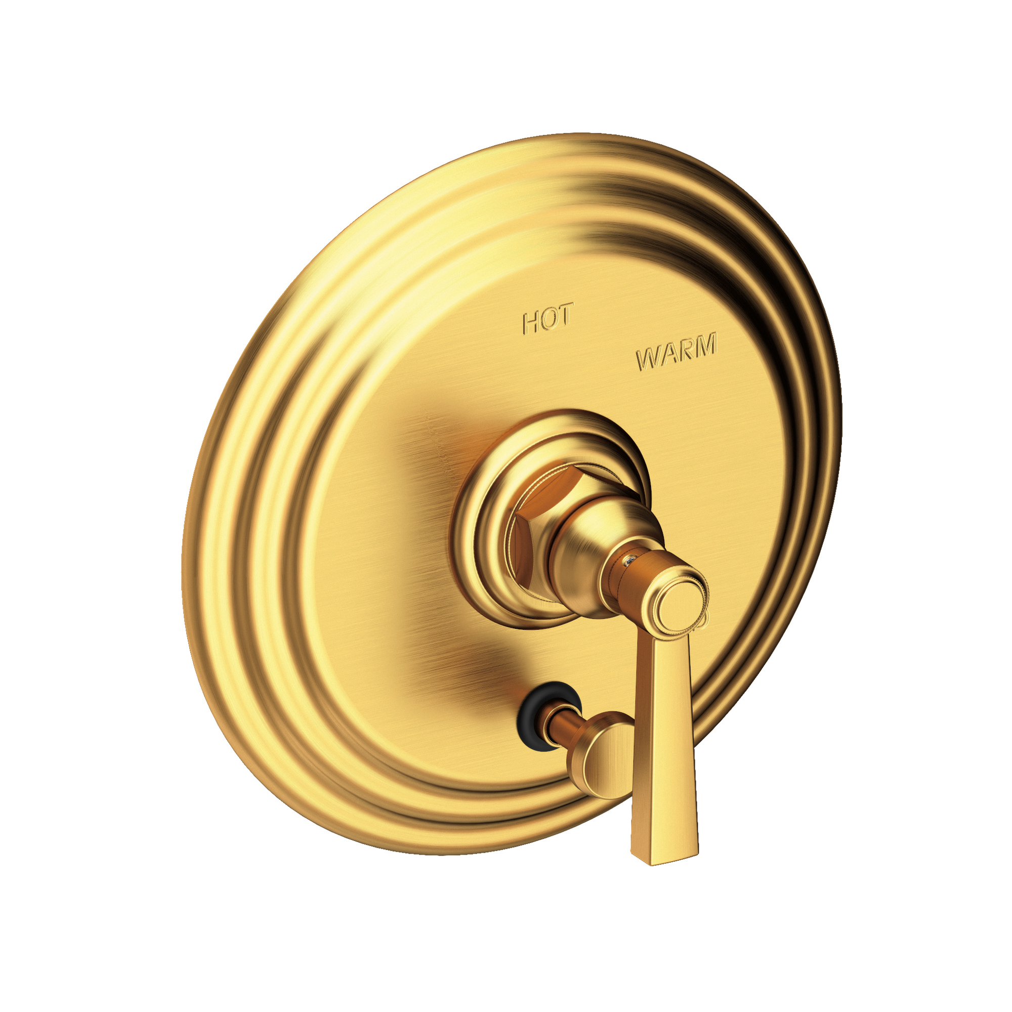 Newport Brass Astor® Balanced Pressure Tub & Shower Diverter Plate with Handle