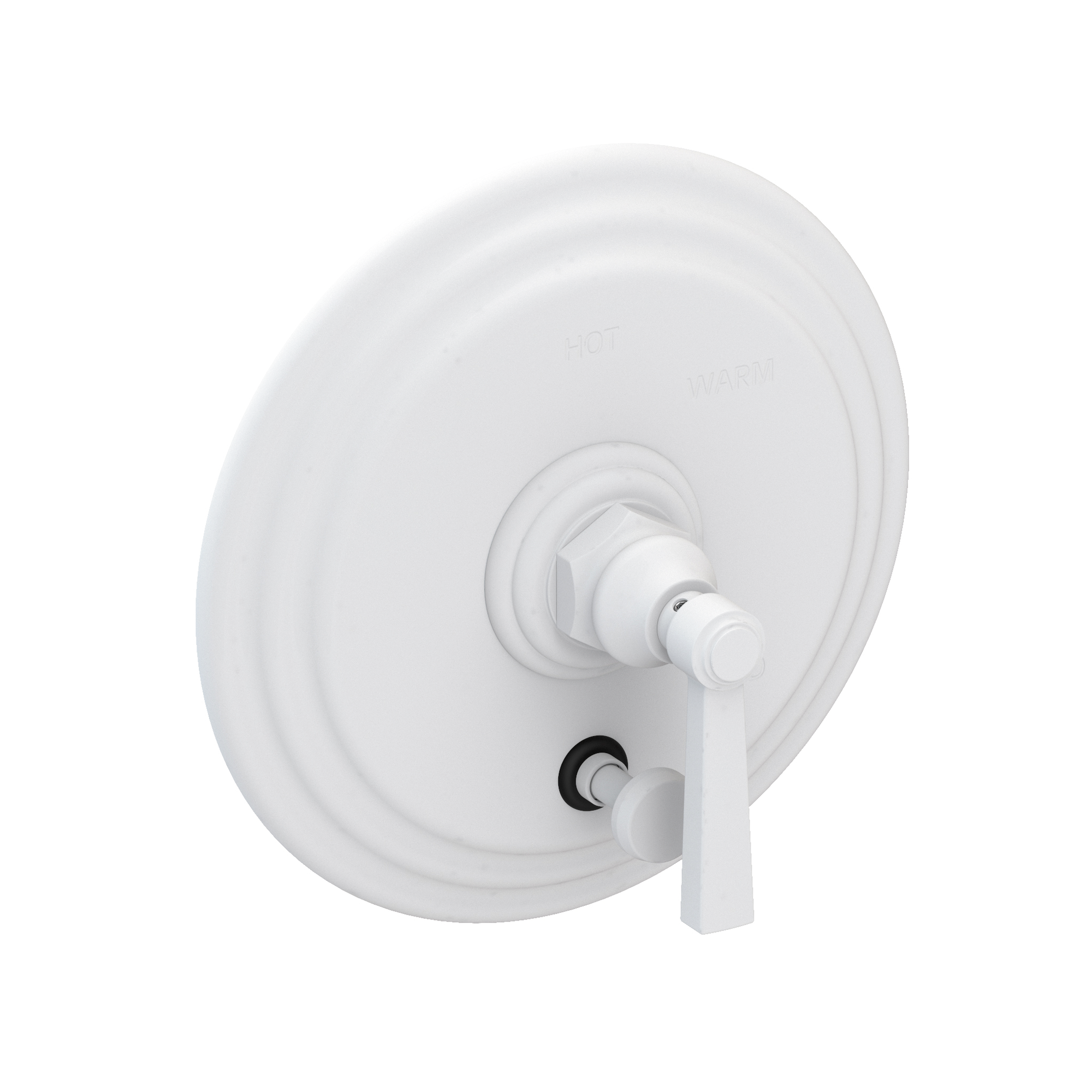 Newport Brass Astor® Balanced Pressure Tub & Shower Diverter Plate with Handle