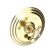 Newport Brass Astor® Balanced Pressure Tub & Shower Diverter Plate with Handle