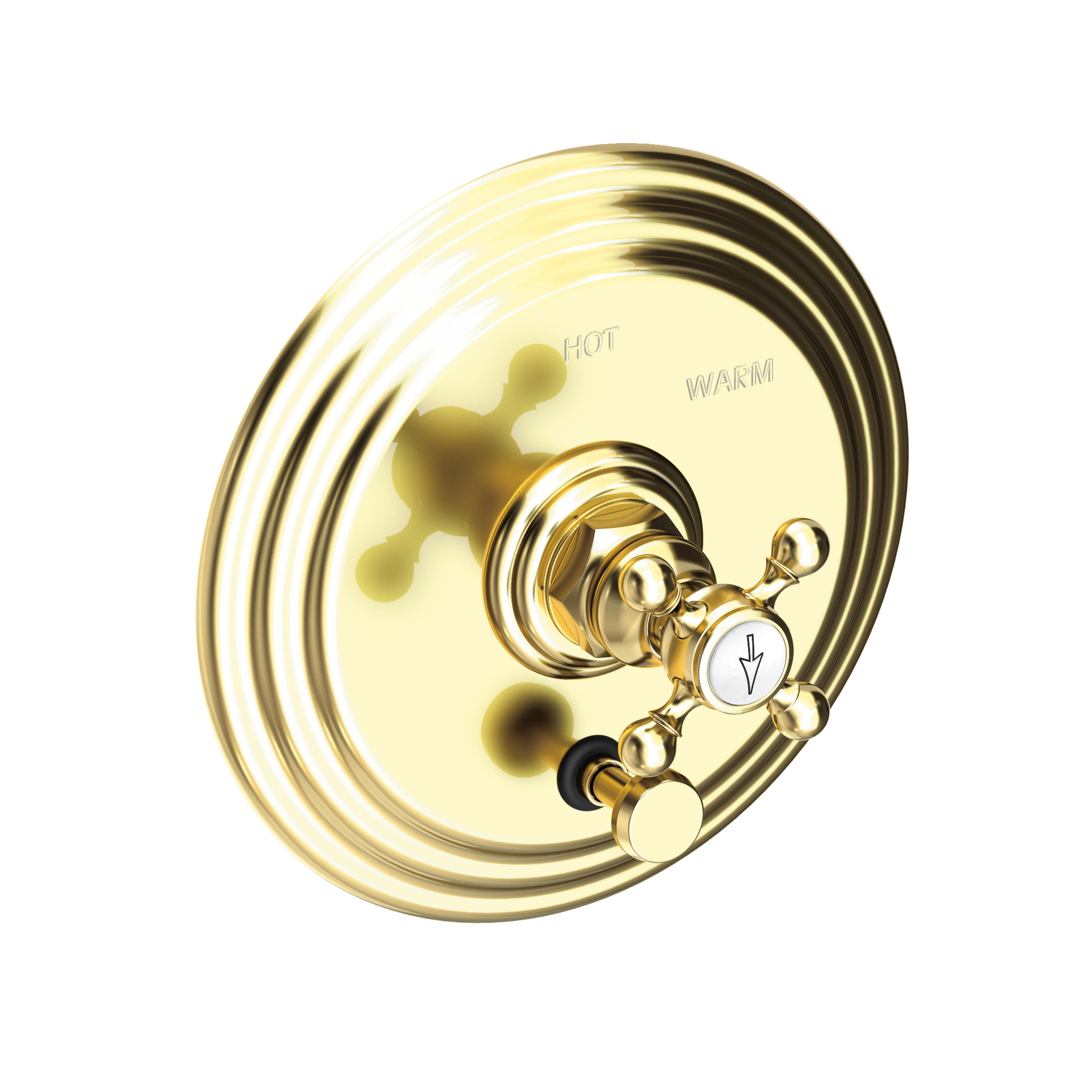 Newport Brass Astor® Balanced Pressure Tub & Shower Diverter Plate with Handle