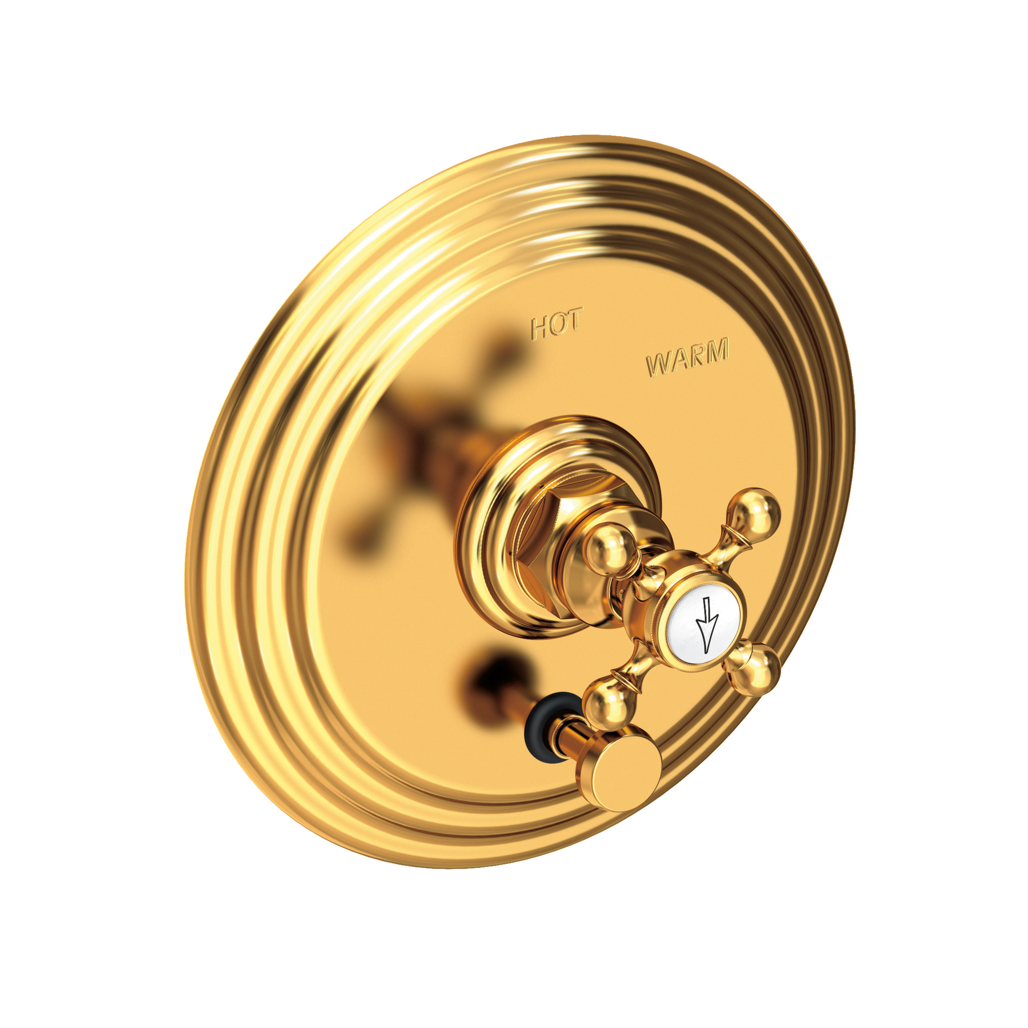 Newport Brass Astor® Balanced Pressure Tub & Shower Diverter Plate with Handle