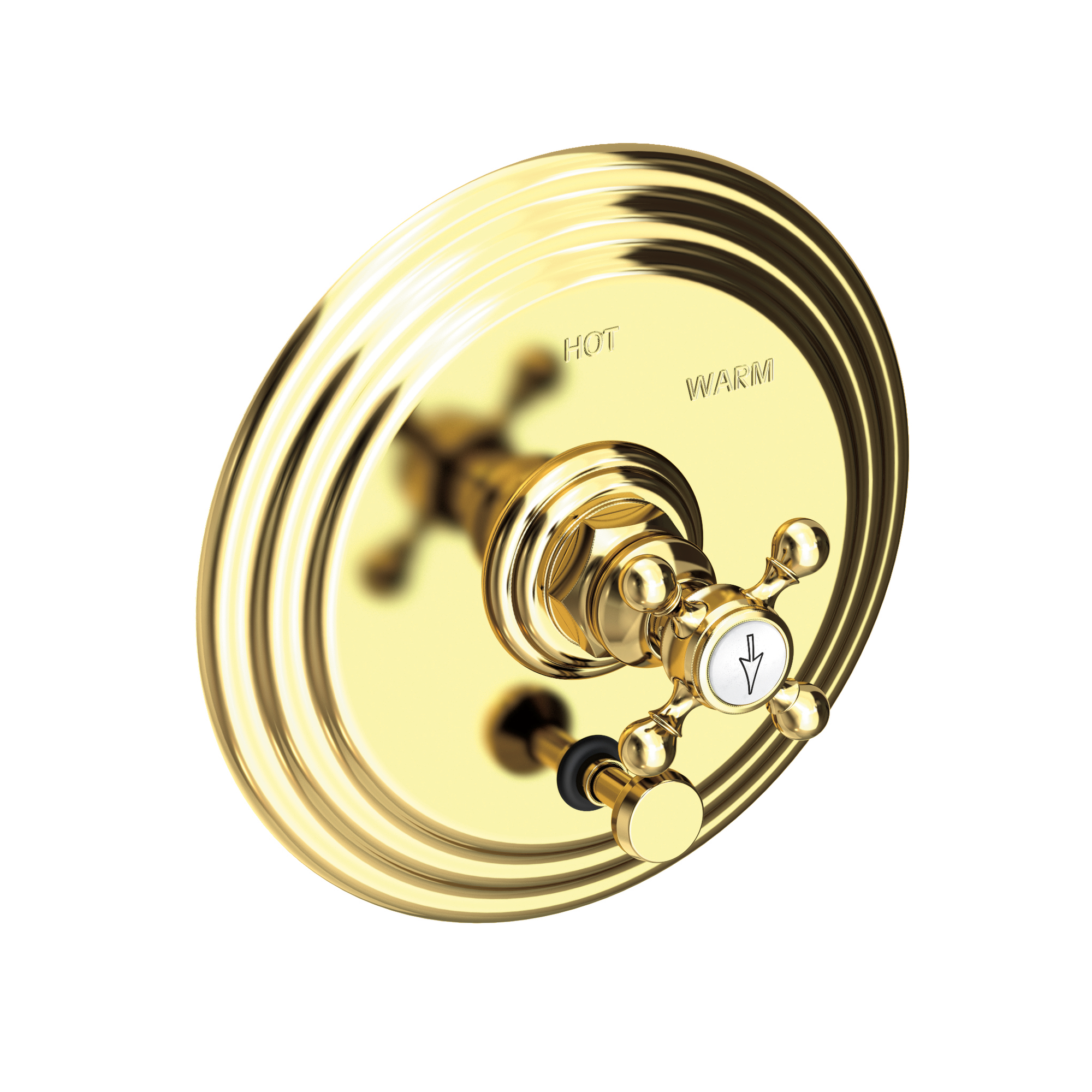 Newport Brass Astor® Balanced Pressure Tub & Shower Diverter Plate with Handle