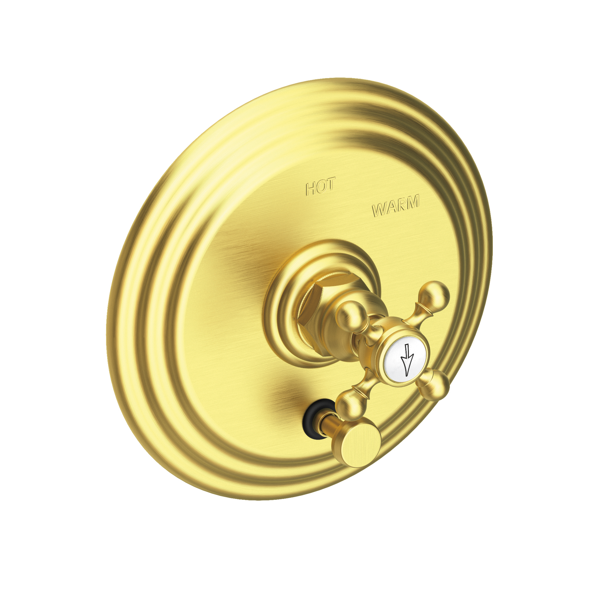 Newport Brass Astor® Balanced Pressure Tub & Shower Diverter Plate with Handle