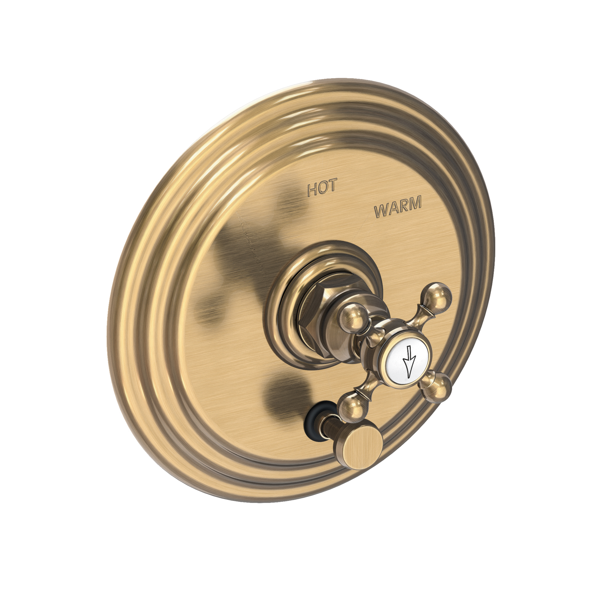 Newport Brass Astor® Balanced Pressure Tub & Shower Diverter Plate with Handle